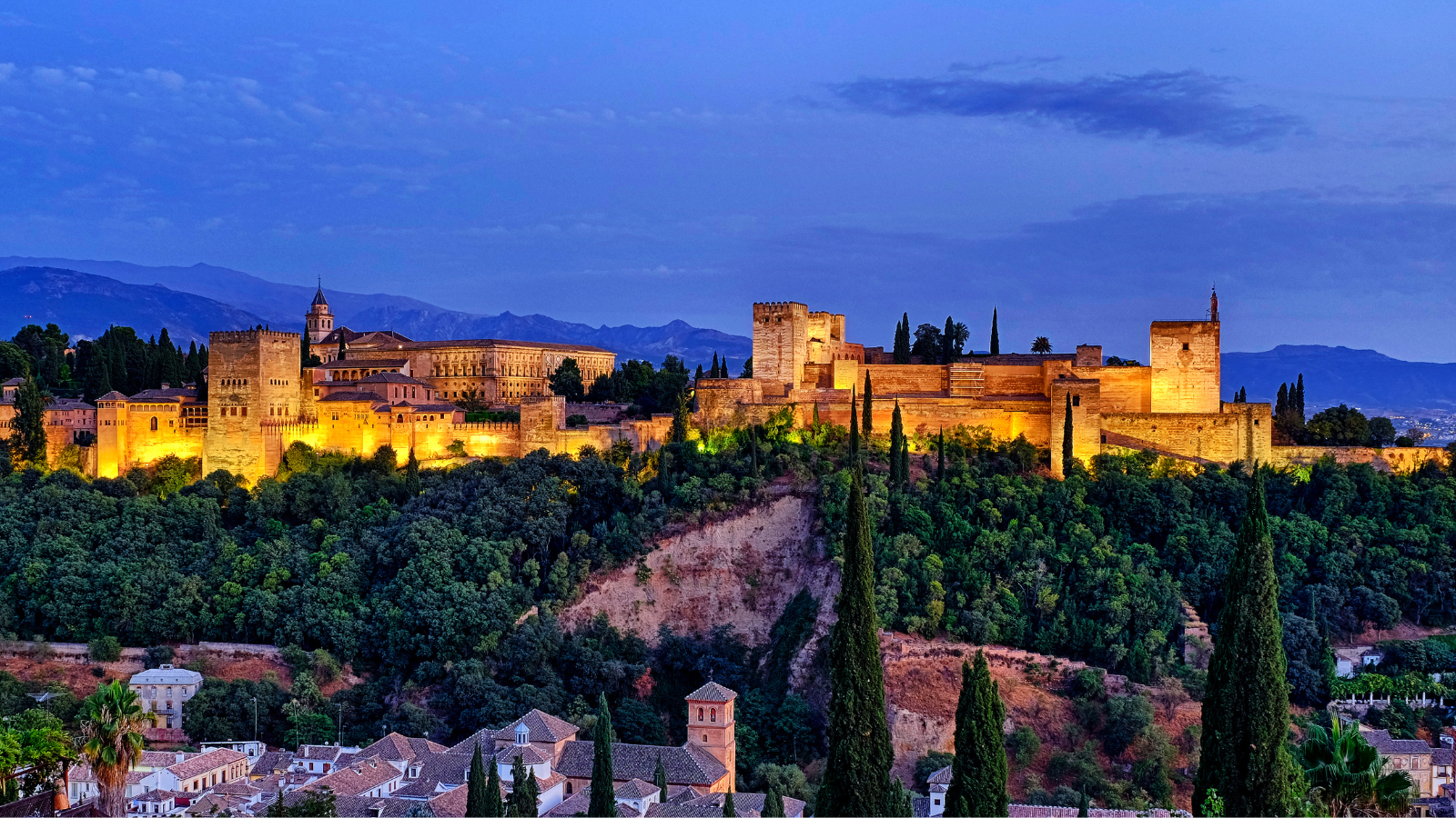 Alhambra and Granada private trip with hotel pick-up