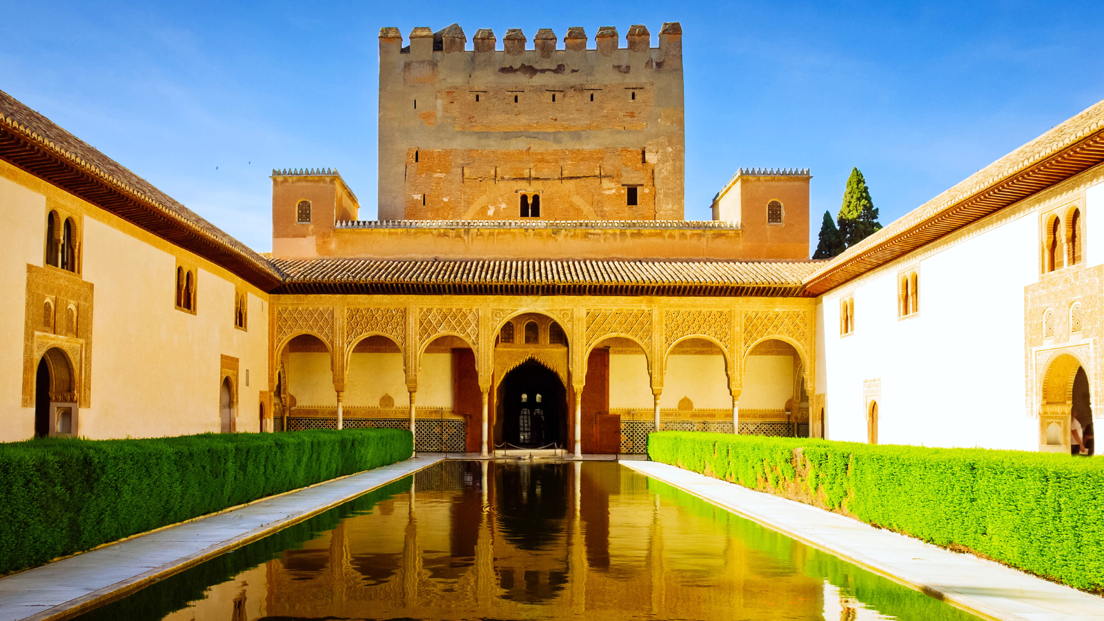 Alhambra private walking tour