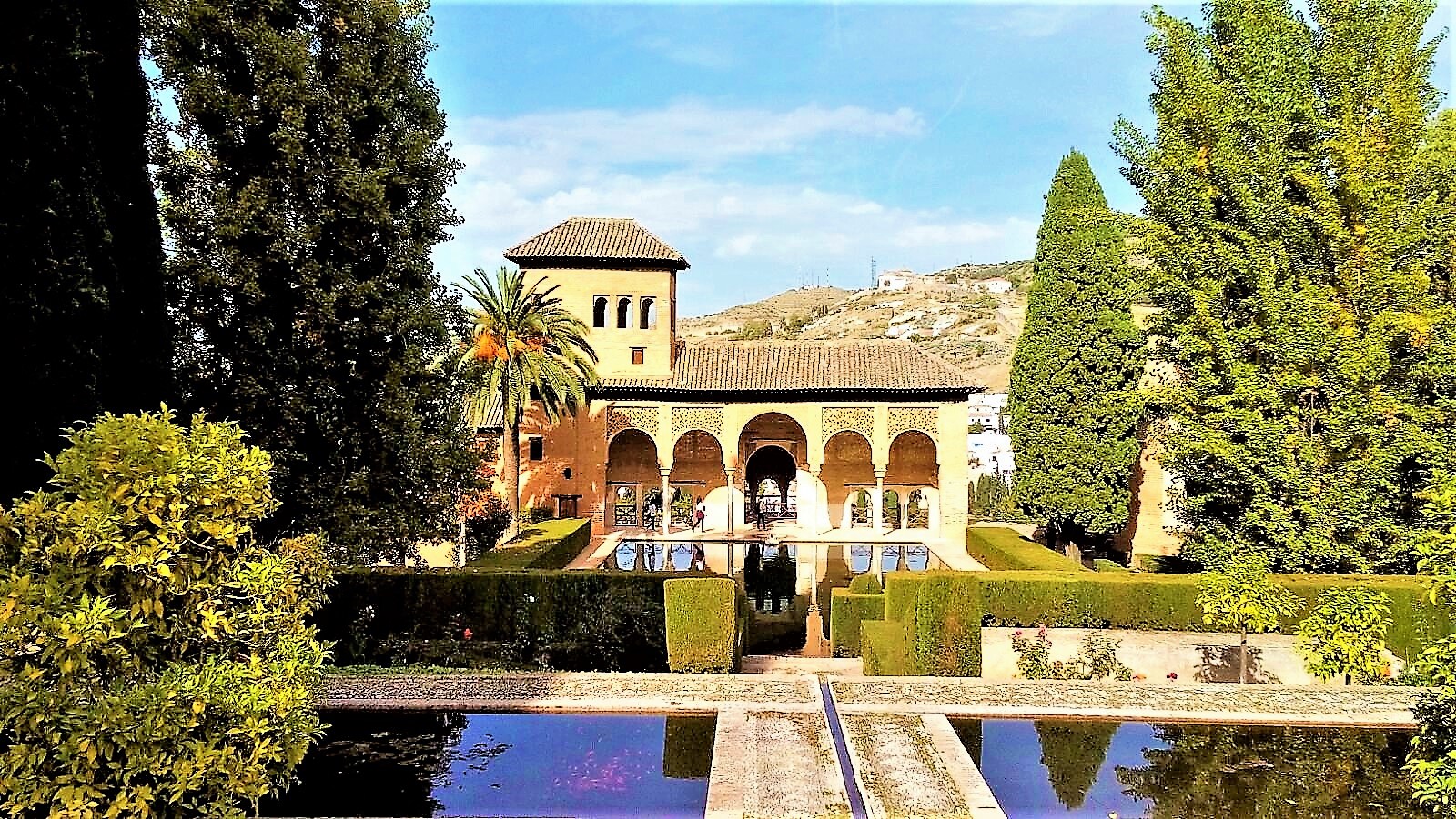 Alhambra private walking tour