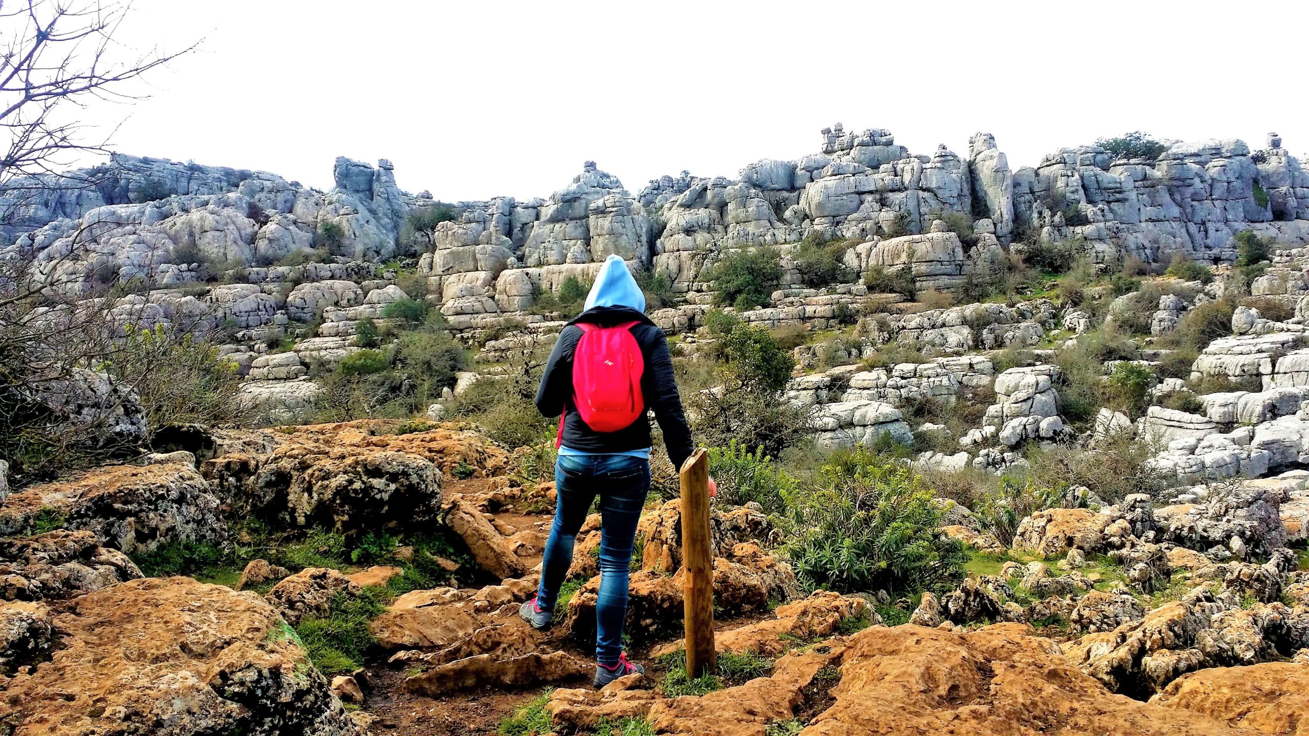 Antequera and El Torcal private trip from Costa del Sol