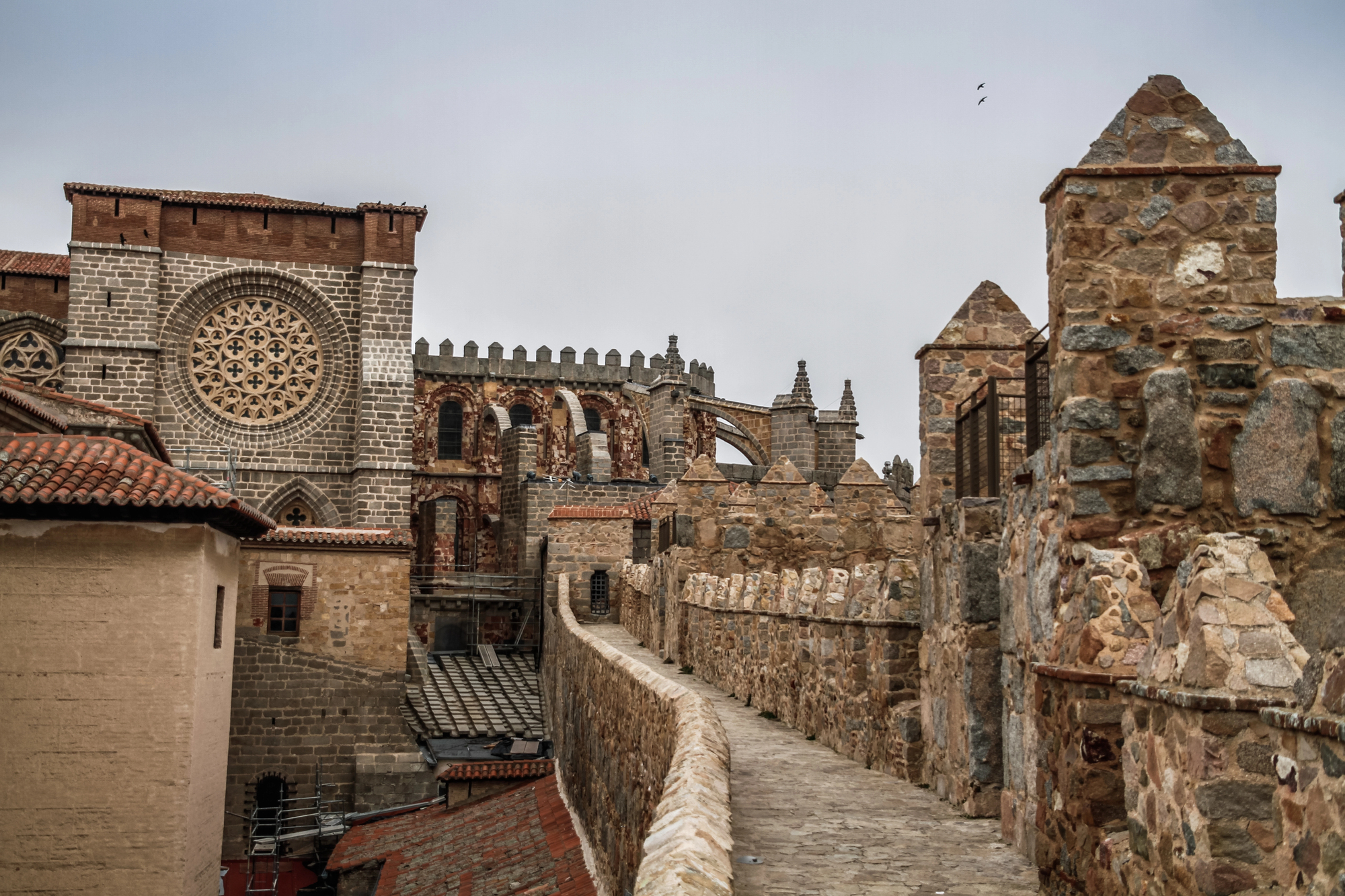 Avila and Segovia City Tour - From Madrid.