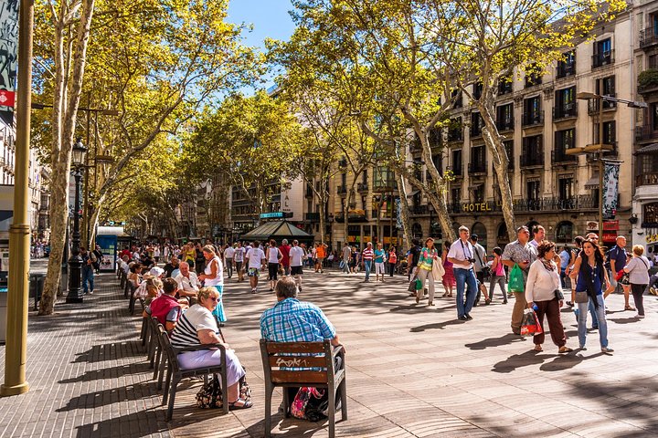 Barcelona Highlights: Private Guided Tour with Hotel/Port Pick-up