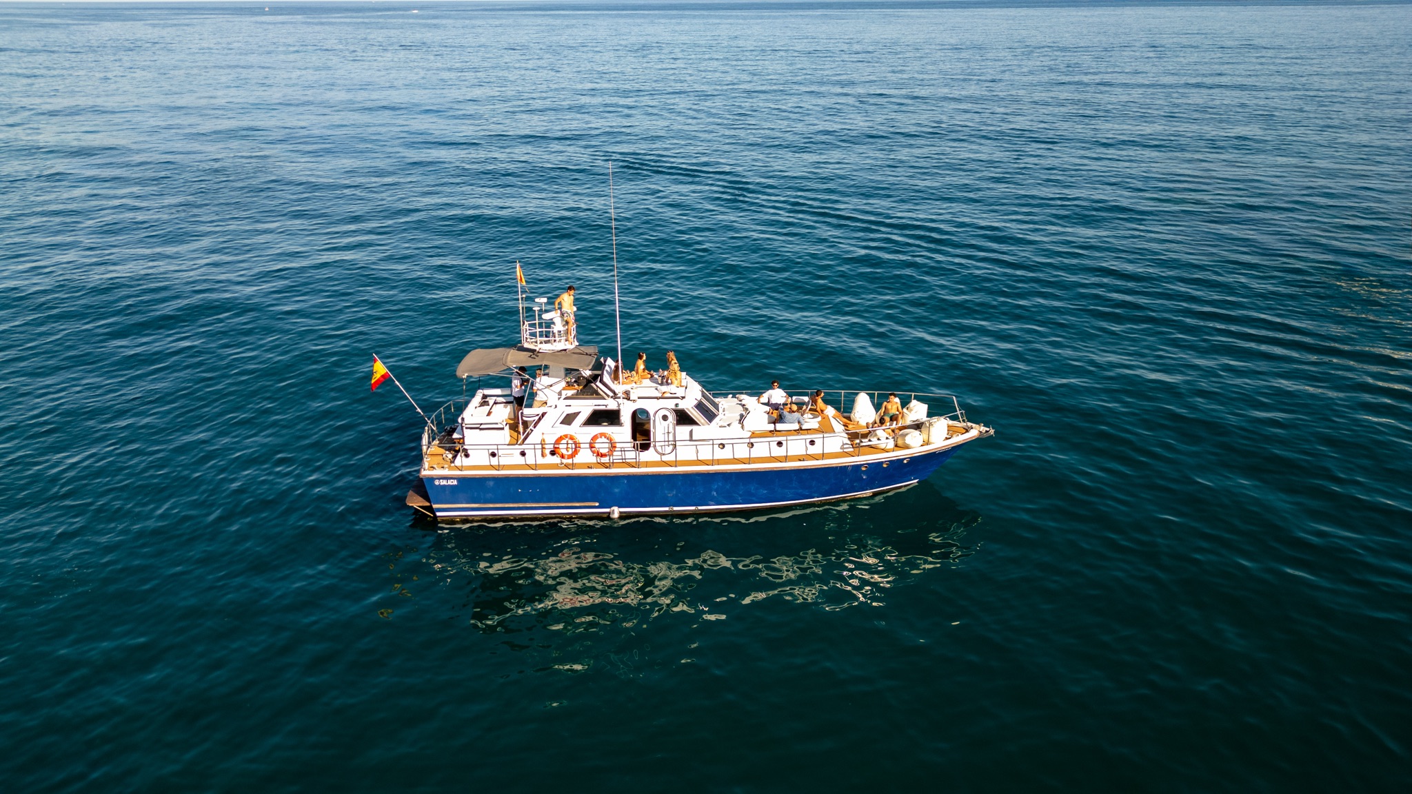 Benalmádena: avistamiento de delfines en barco con snorkel y bebidas