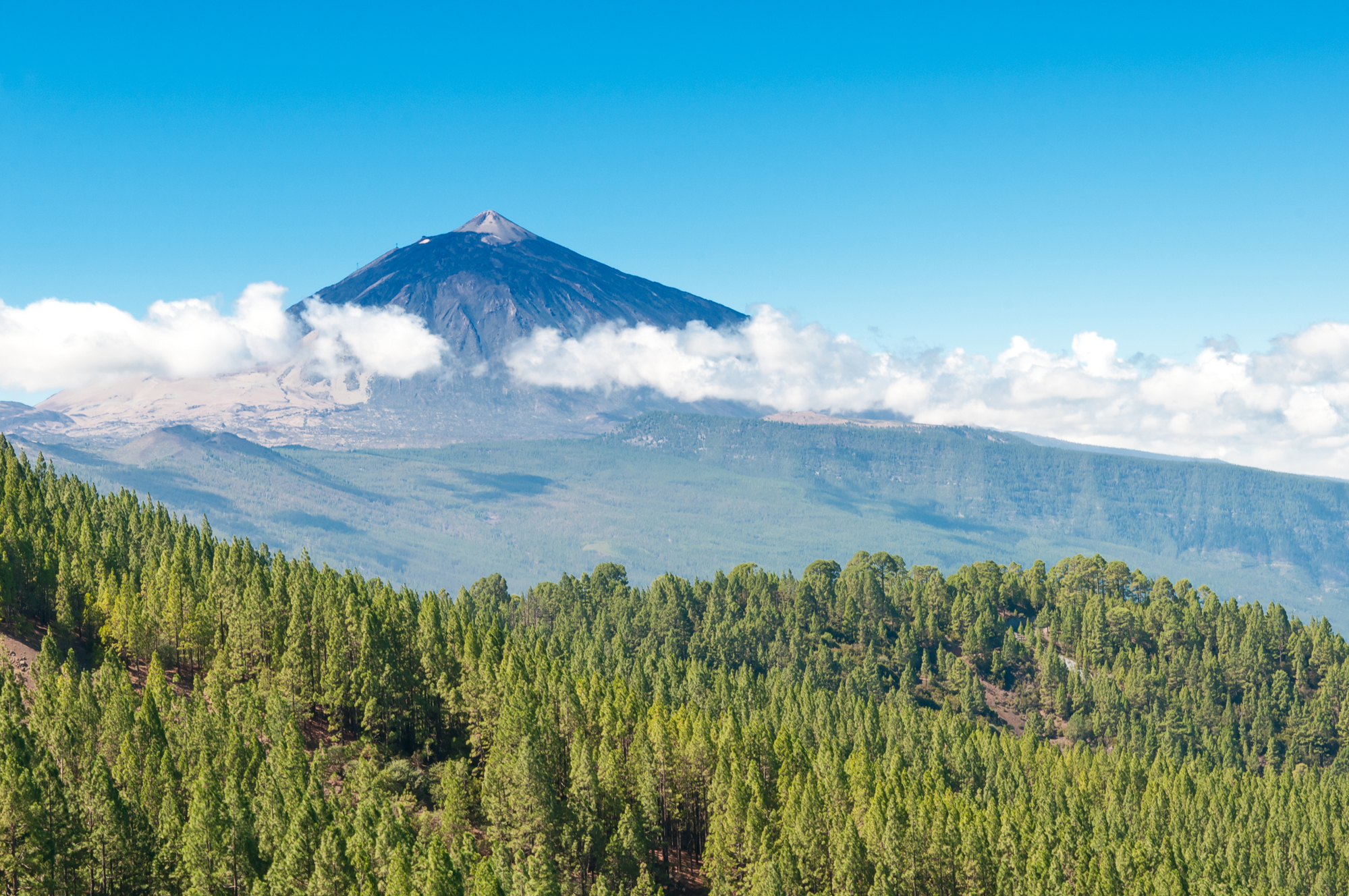 Best of Tenerife – full-day small-group shore excursion