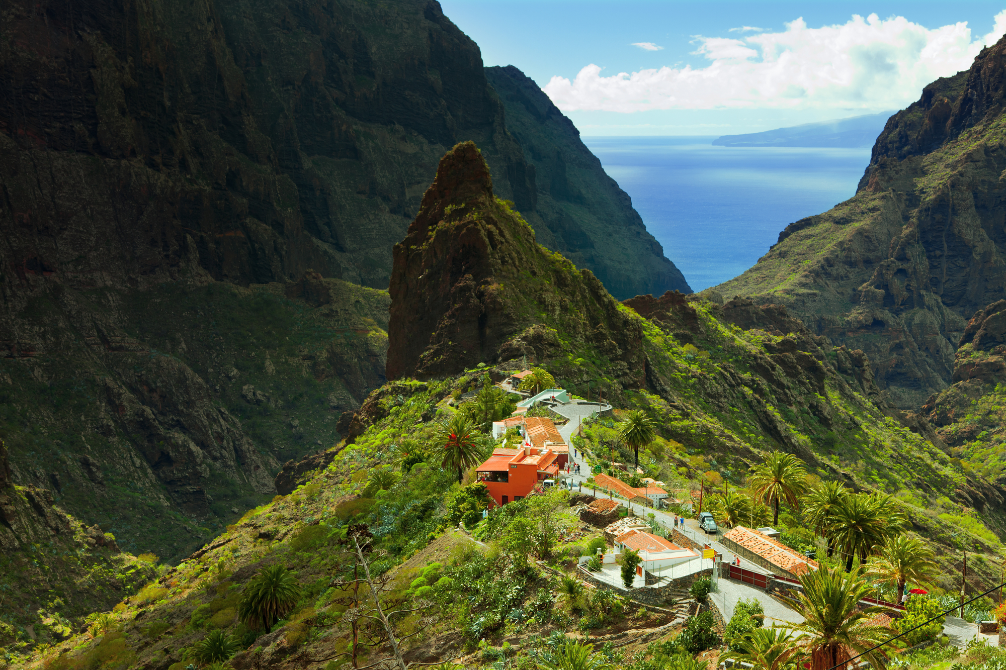 Best of Tenerife – full-day small-group shore excursion