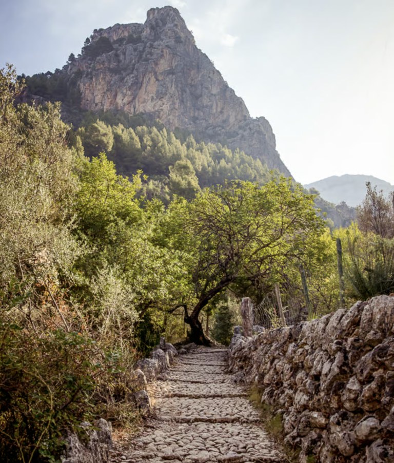 BLUE PEAKS - Shared Hike - Barranc de Biniaraix (level medium-hard)