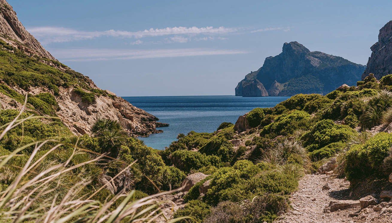 BLUE PEAKS - Shared Hike - Cala Bóquer (level - easy)