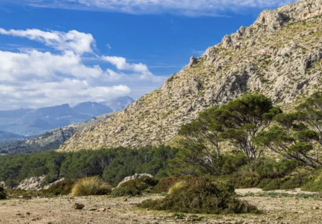 BLUE PEAKS - Shared Hike - Cala Bóquer (level - easy)
