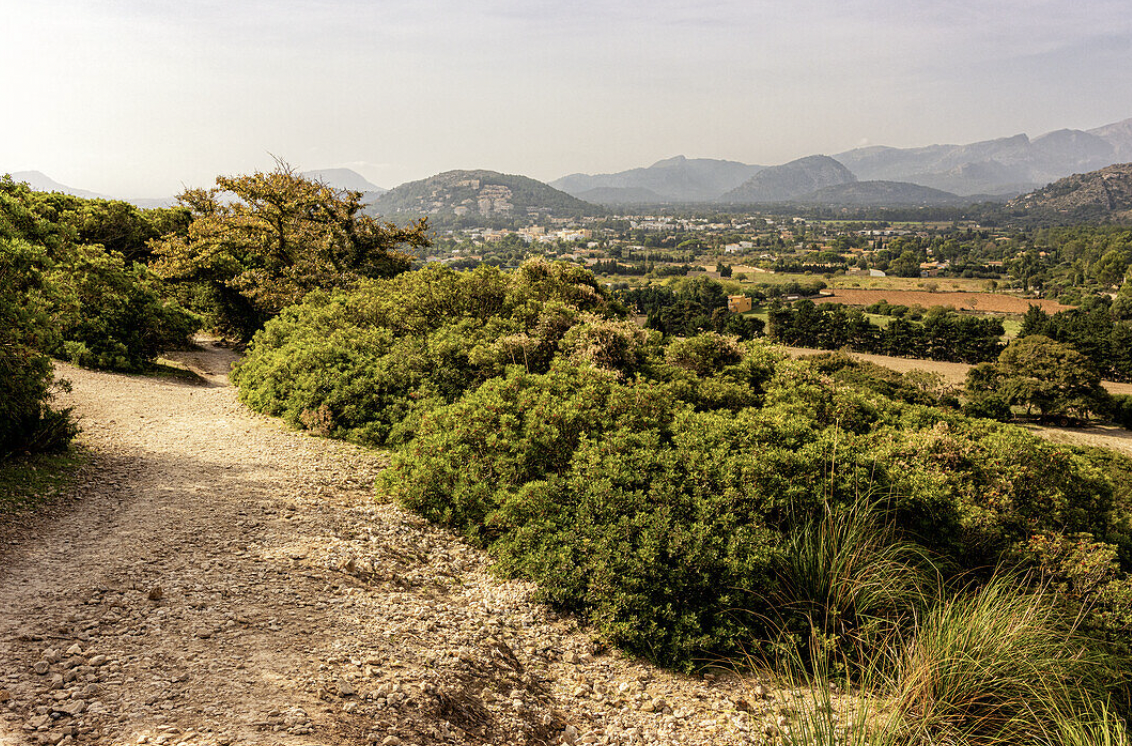 BLUE PEAKS - Shared Hike - Cala Bóquer (level - easy)