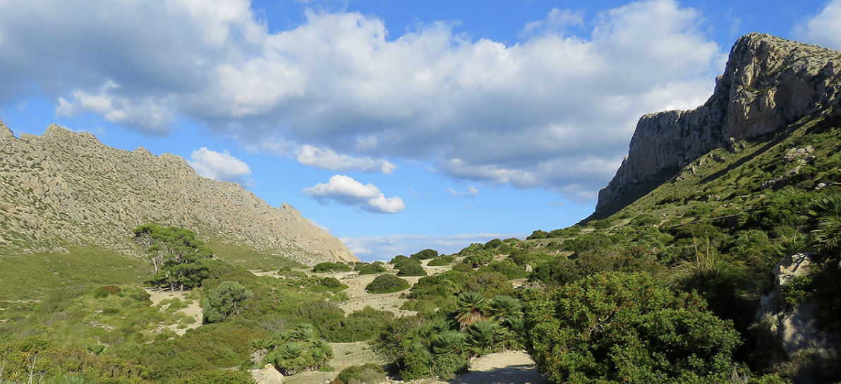 BLUE PEAKS - Shared Hike - Cala Bóquer (level - easy)