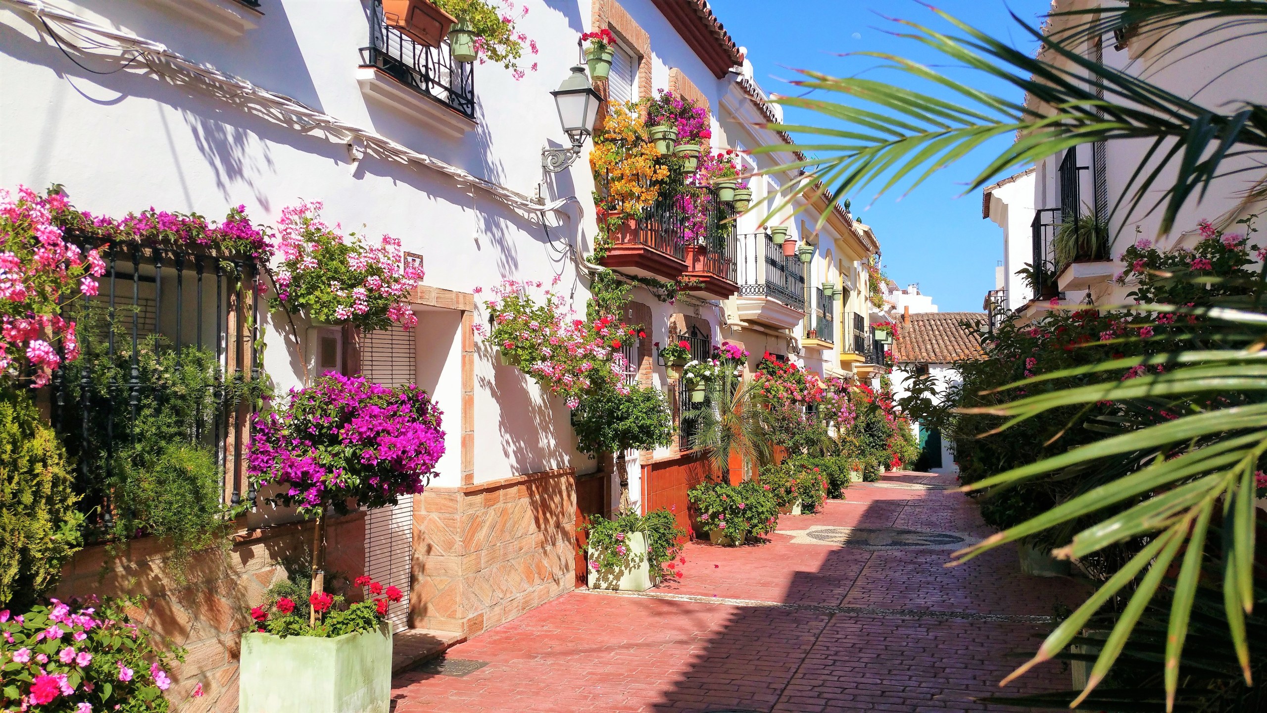 Casares and Estepona private trip with hotel pick-up