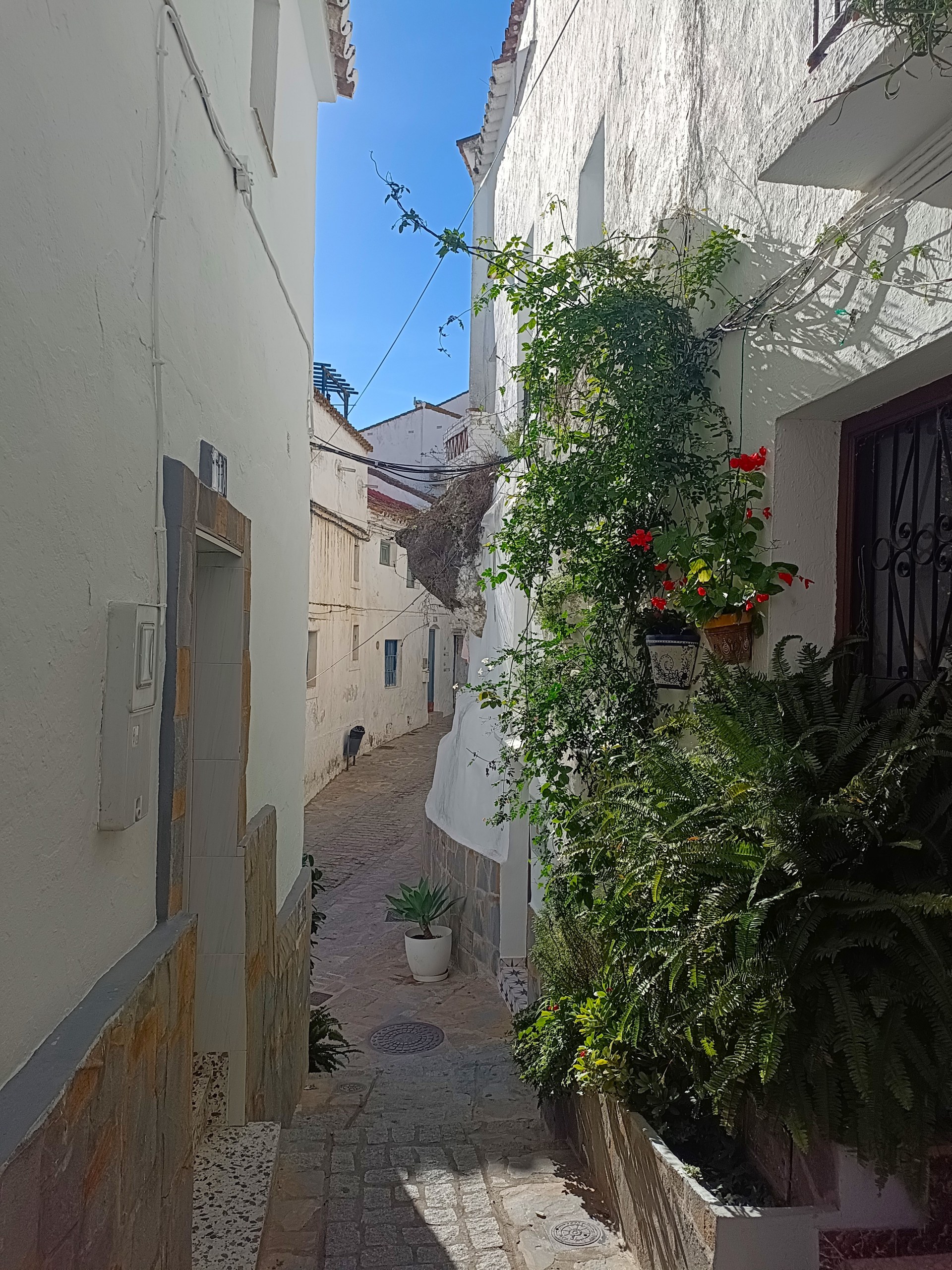 Casares private tour from Costa del Sol