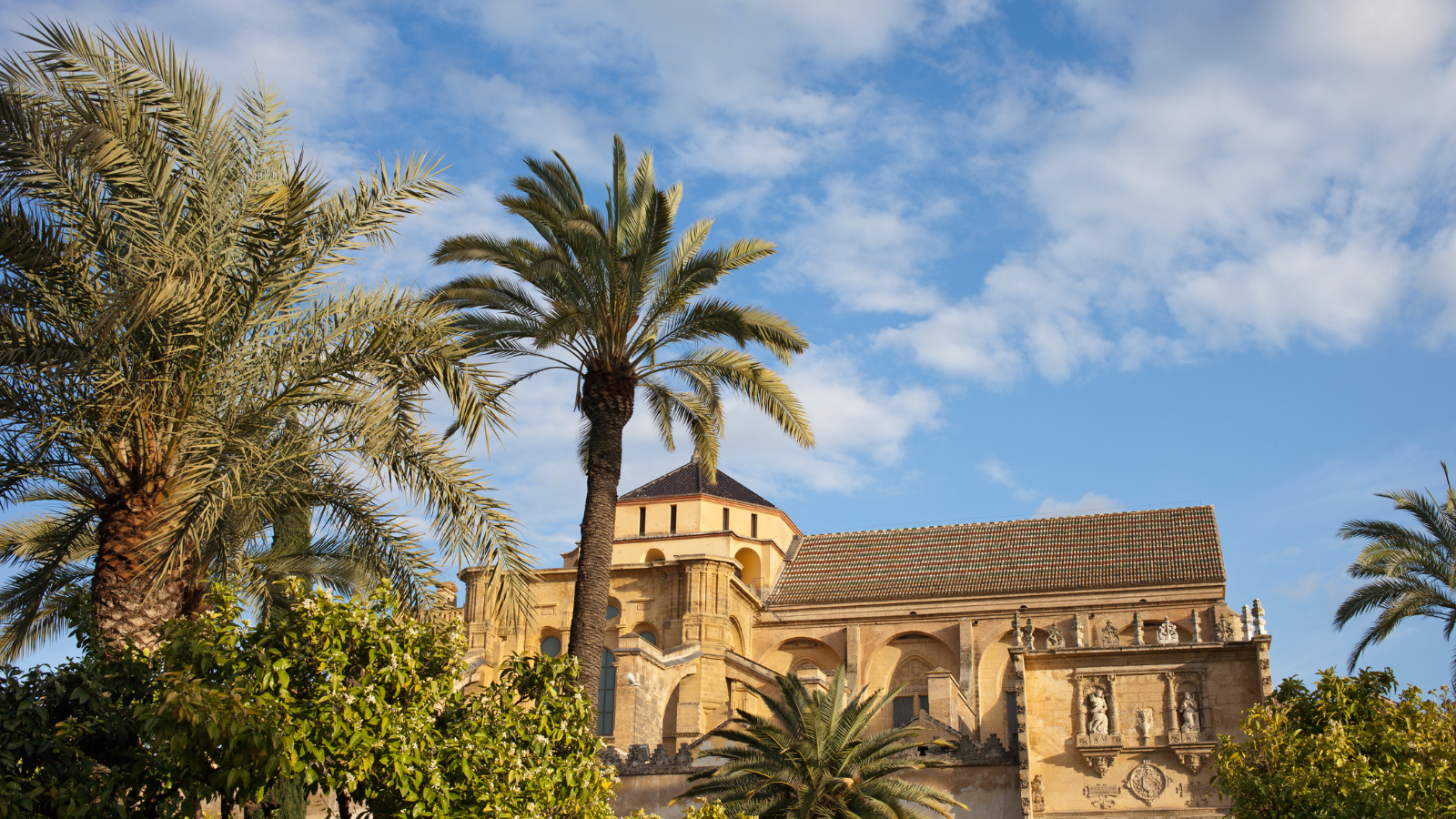Cordoba private walking tour