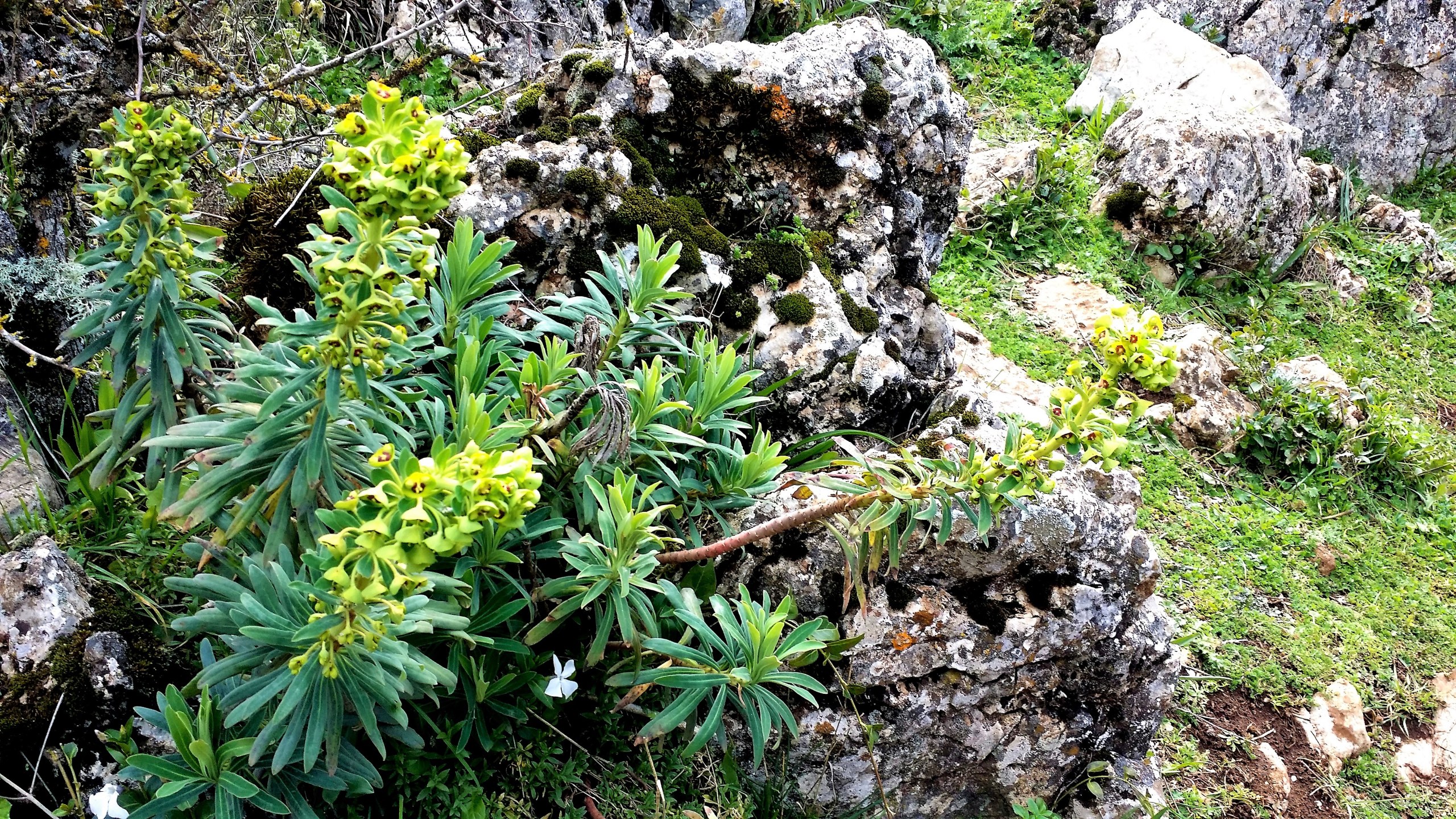 El Torcal private trip with hotel pick-up