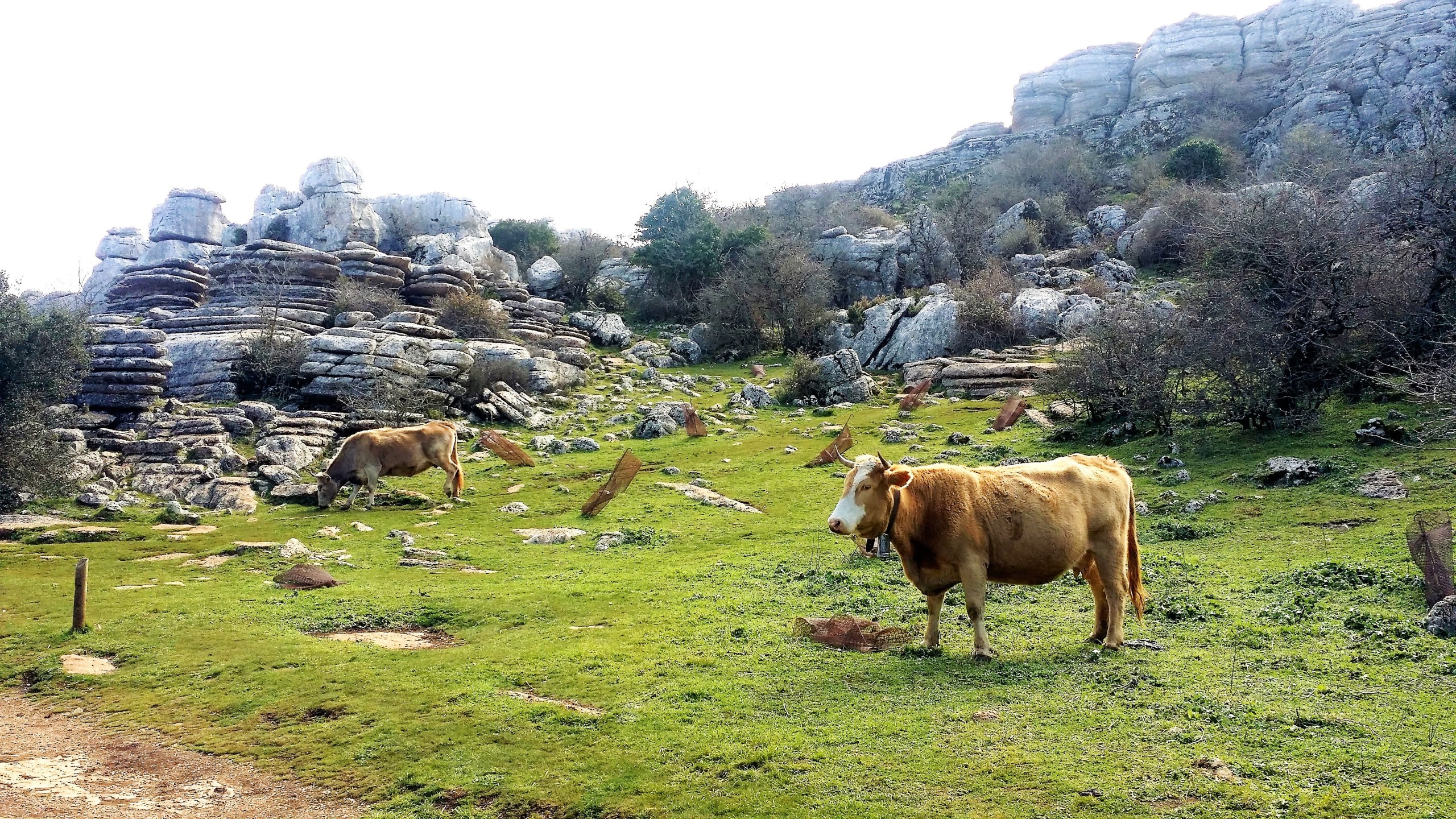 El Torcal private trip with hotel pick-up