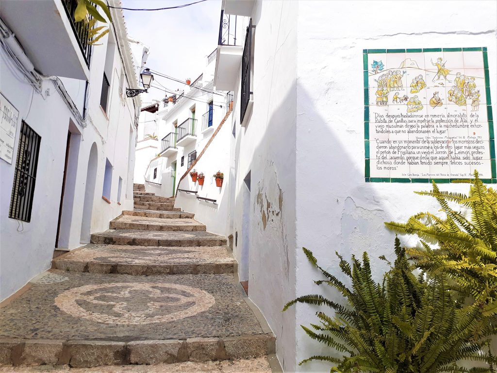 Frigiliana: Private walking tour