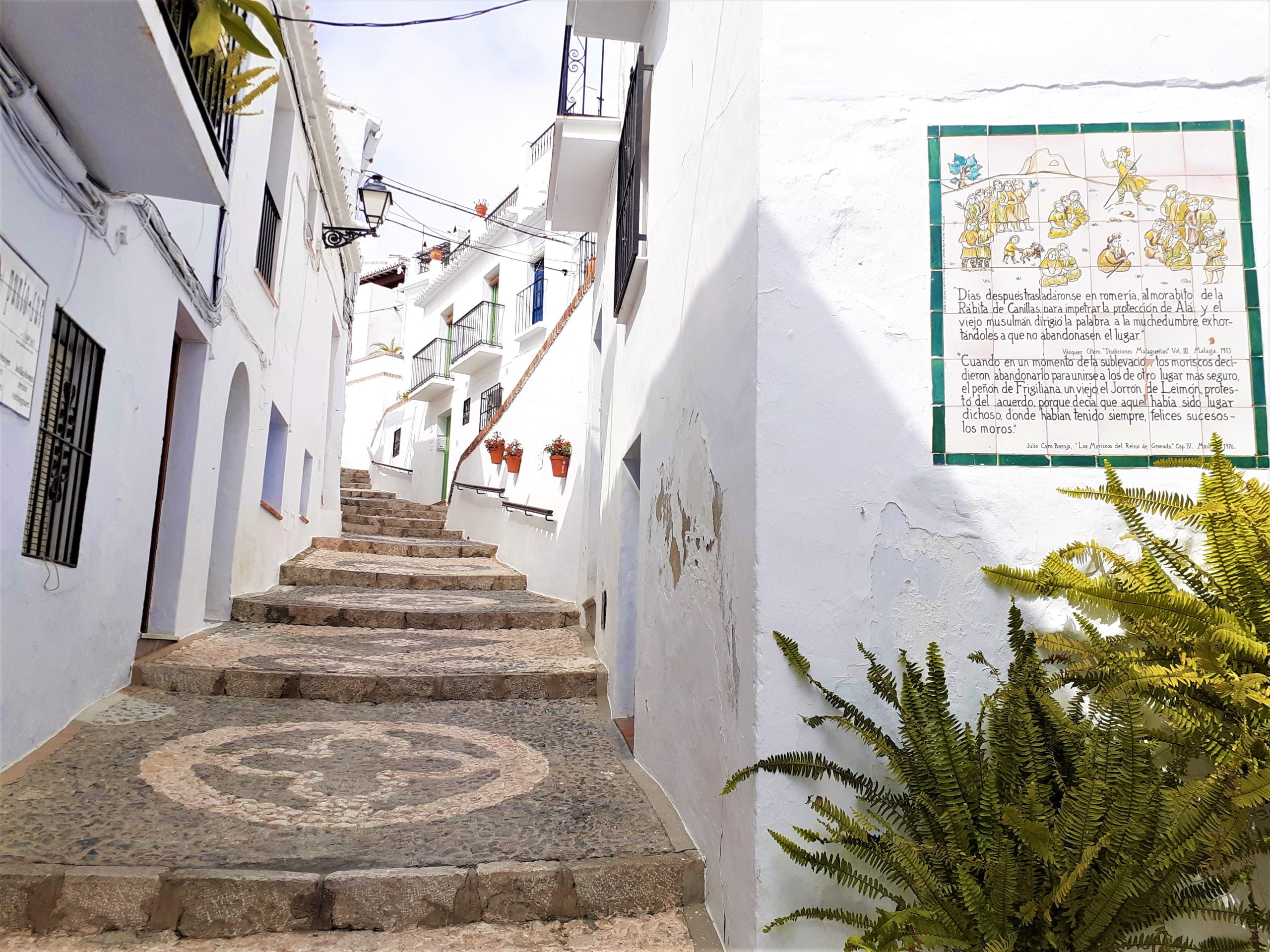 Frigiliana: Private walking tour
