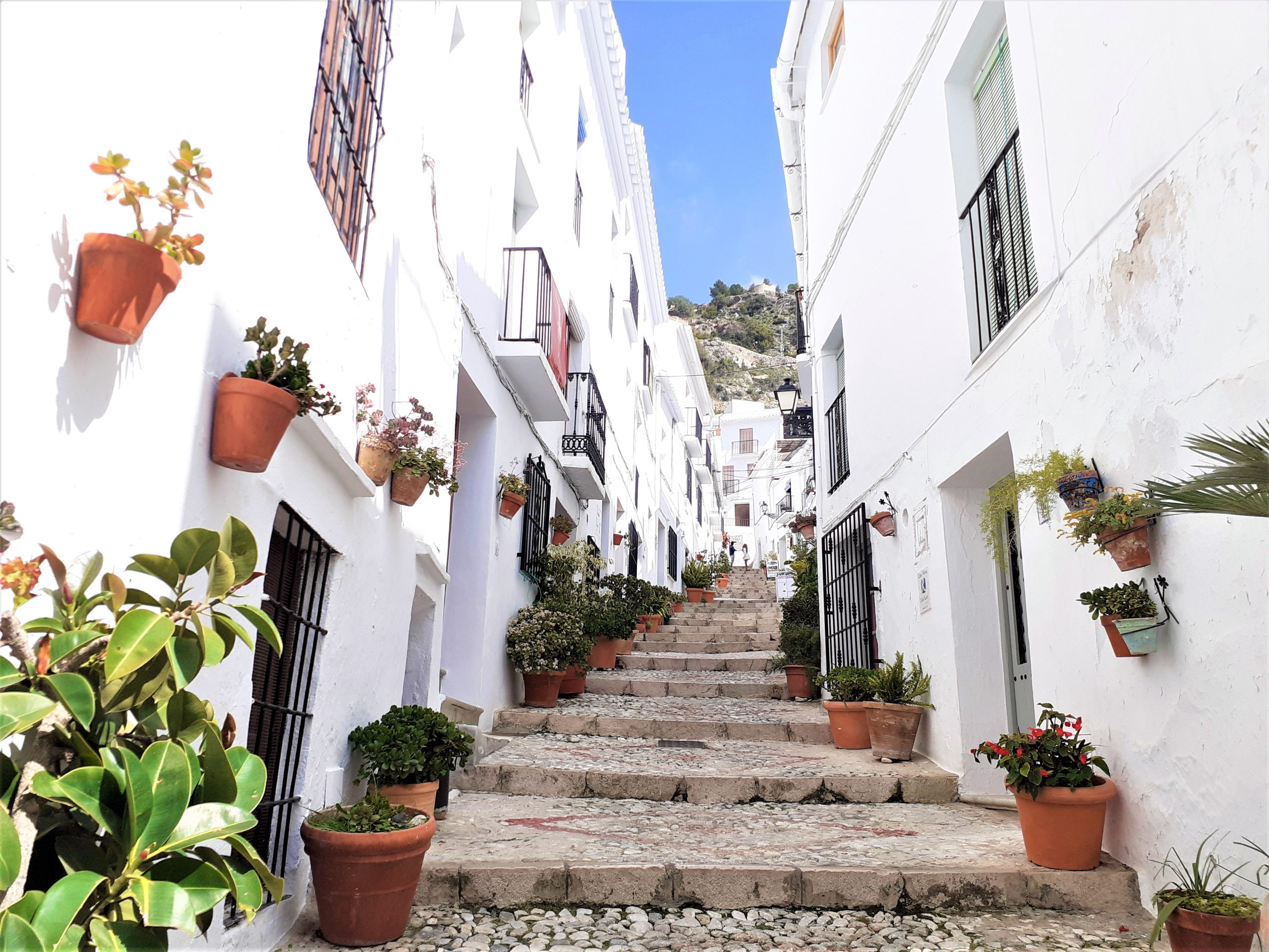 Frigiliana: Private walking tour