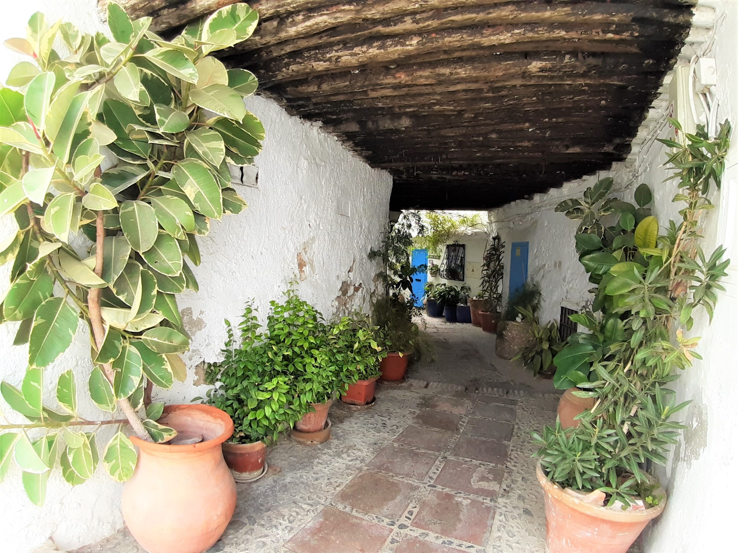 Frigiliana: Private walking tour