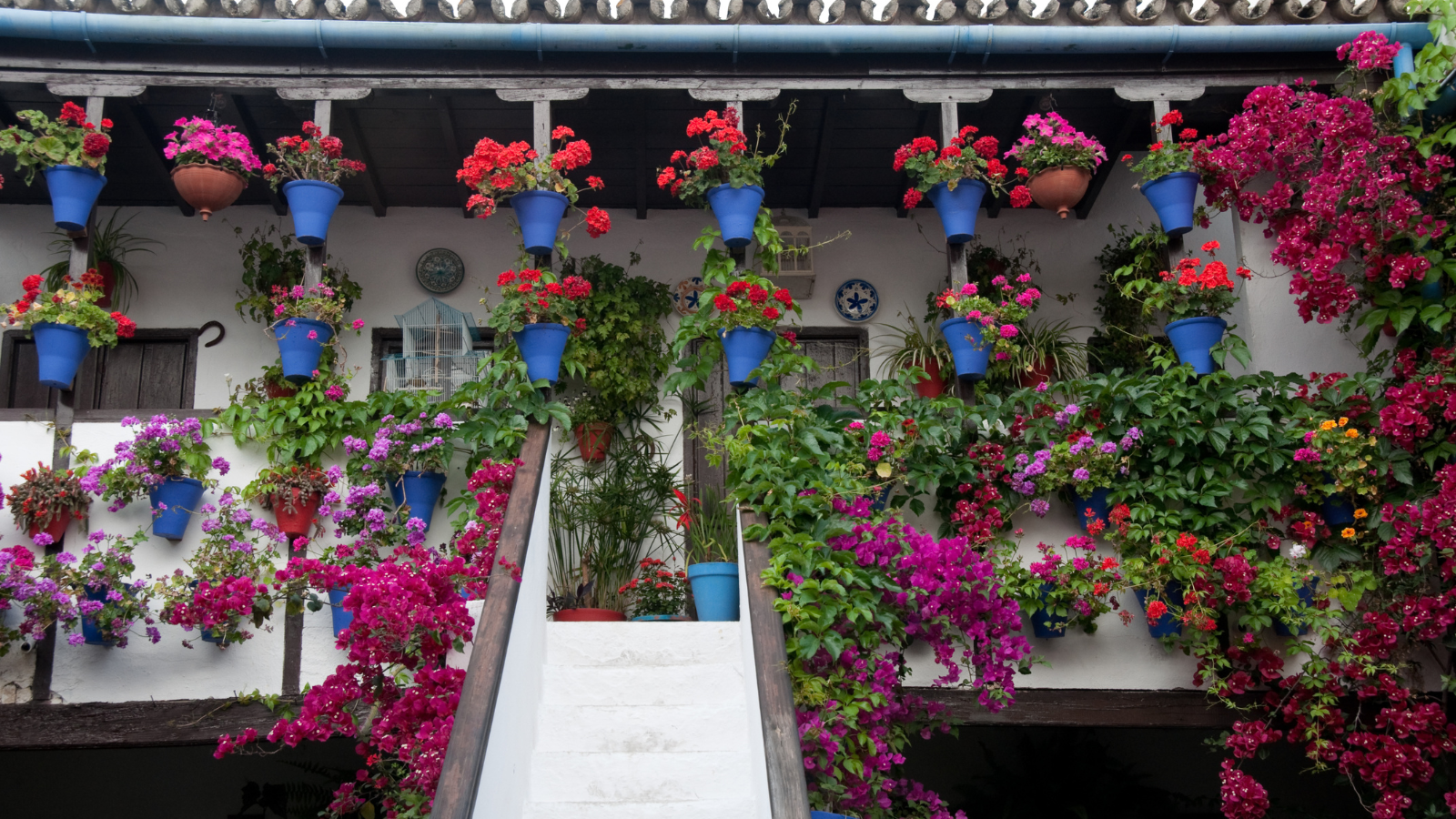 From Costa del Sol: private trip to Cordoba