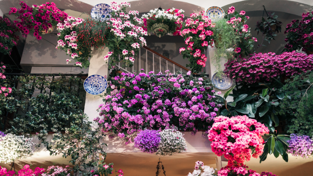 From Costa del Sol: private trip to Cordoba