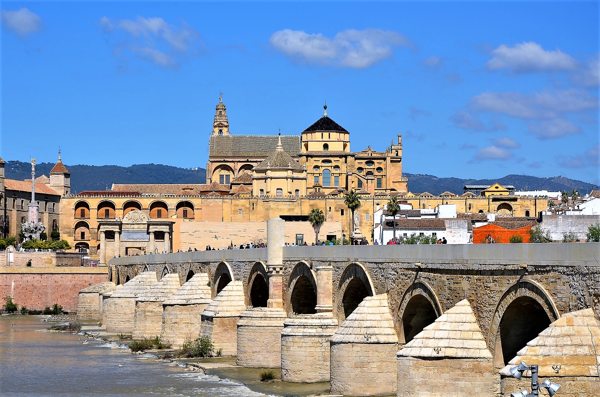 From Costa del Sol: private trip to Cordoba