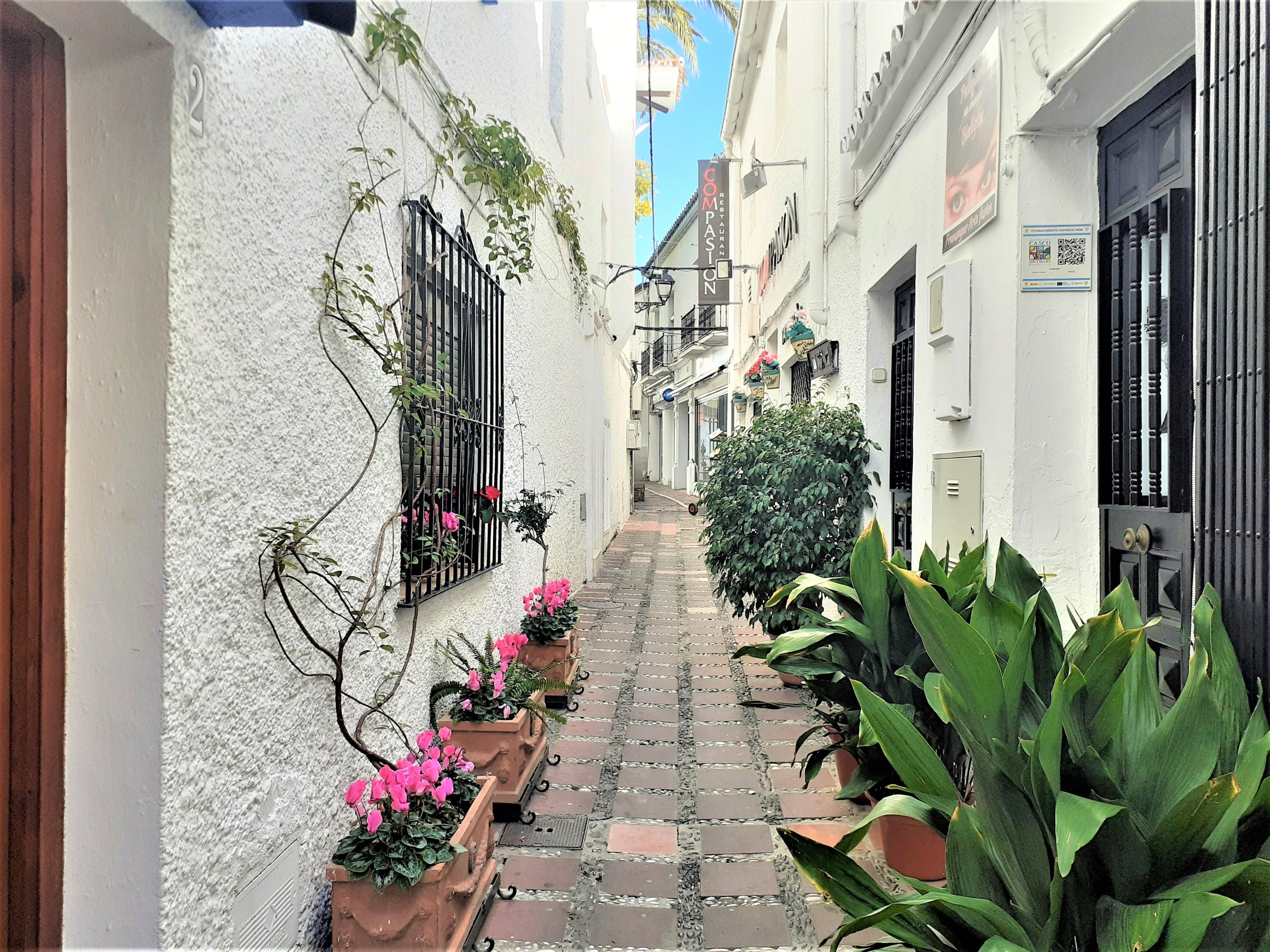 From Malaga: private tour in Marbella