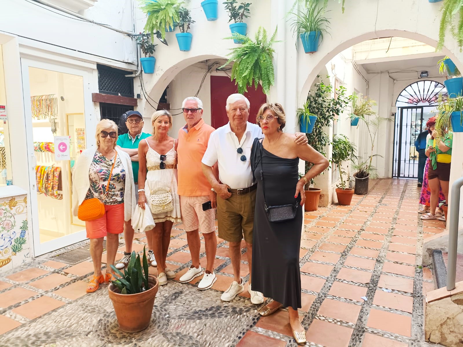 From Malaga: private tour in Marbella