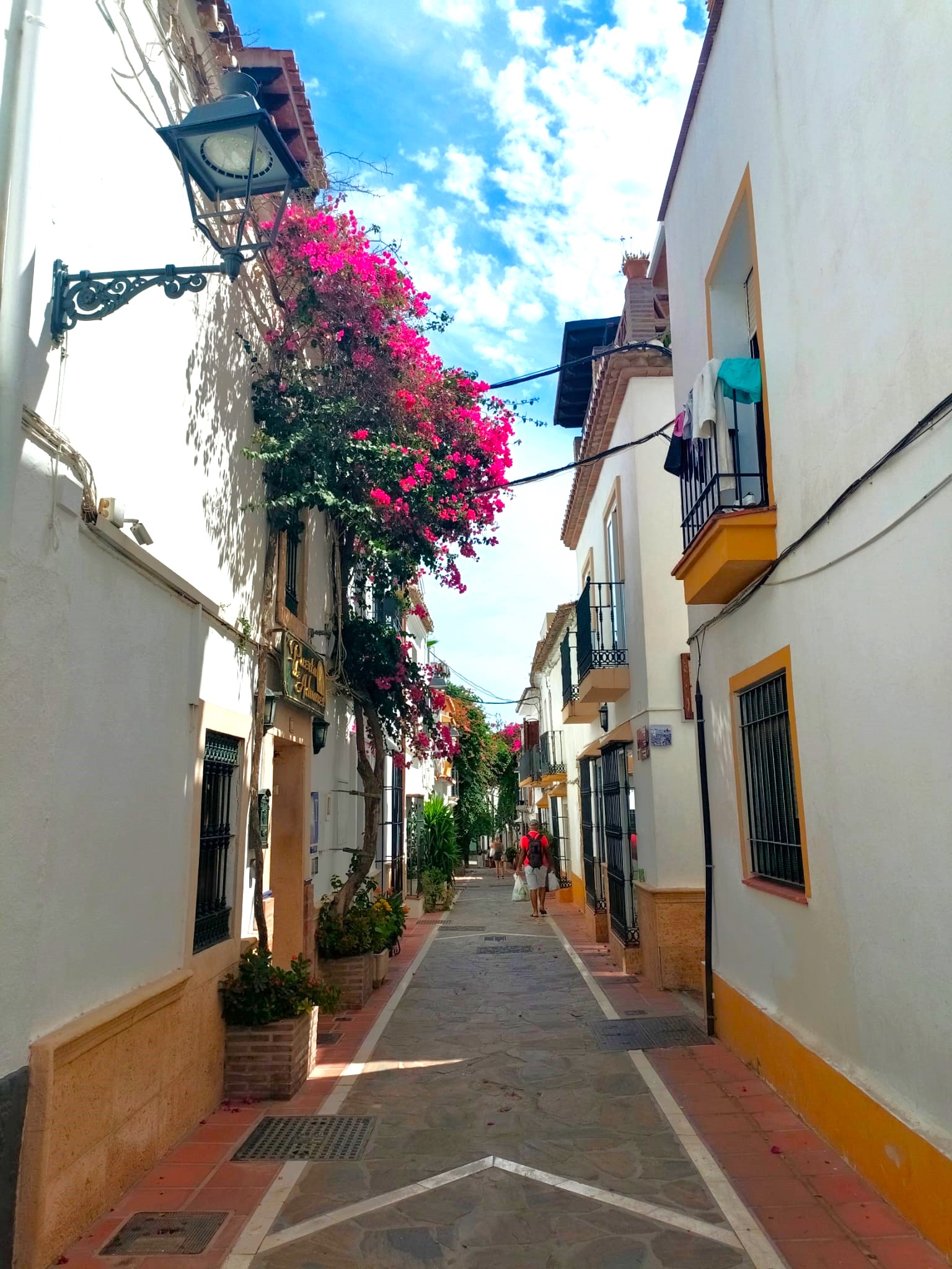 From Malaga: private tour in Marbella