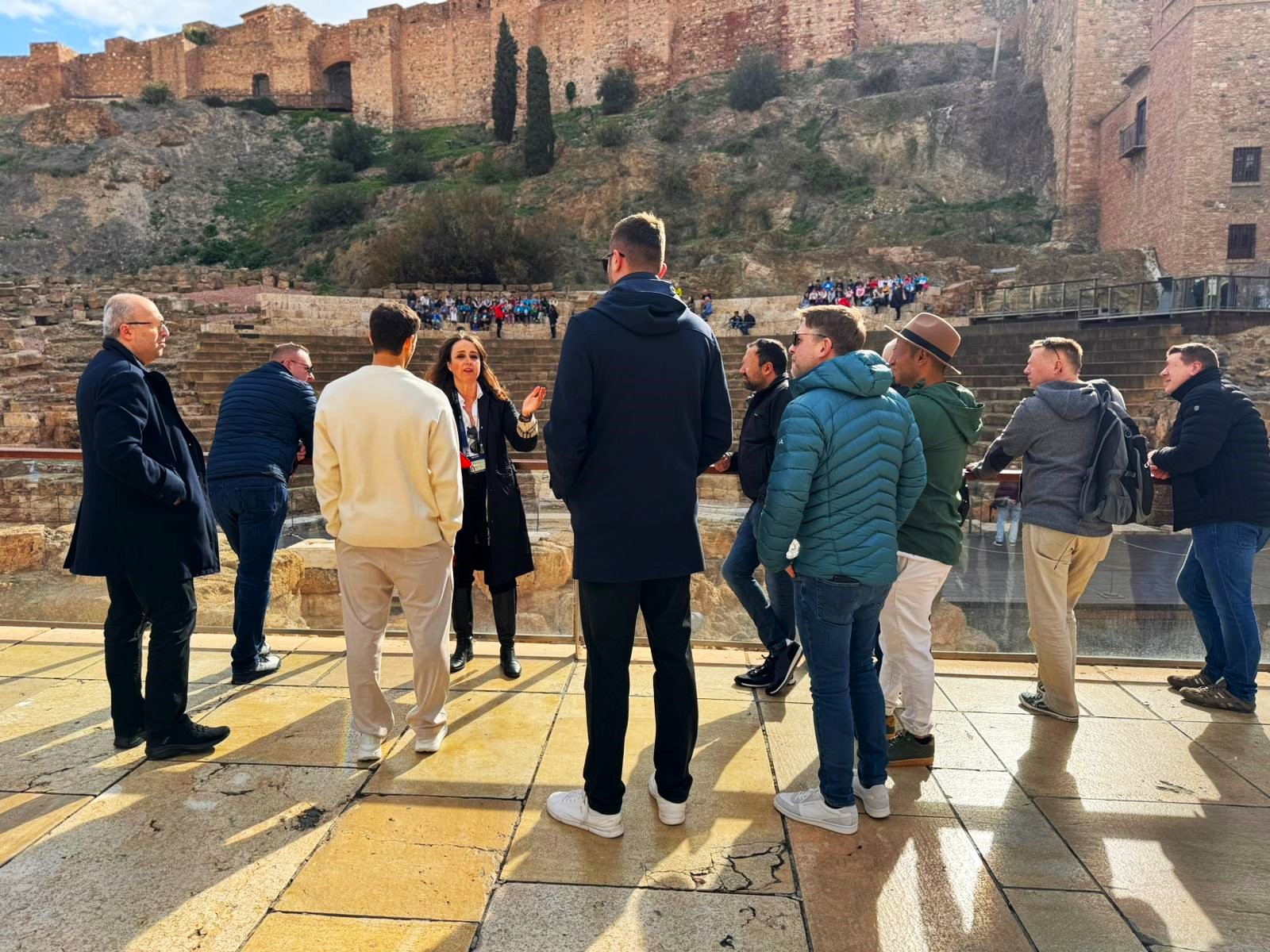 From Marbella: Malaga private tour