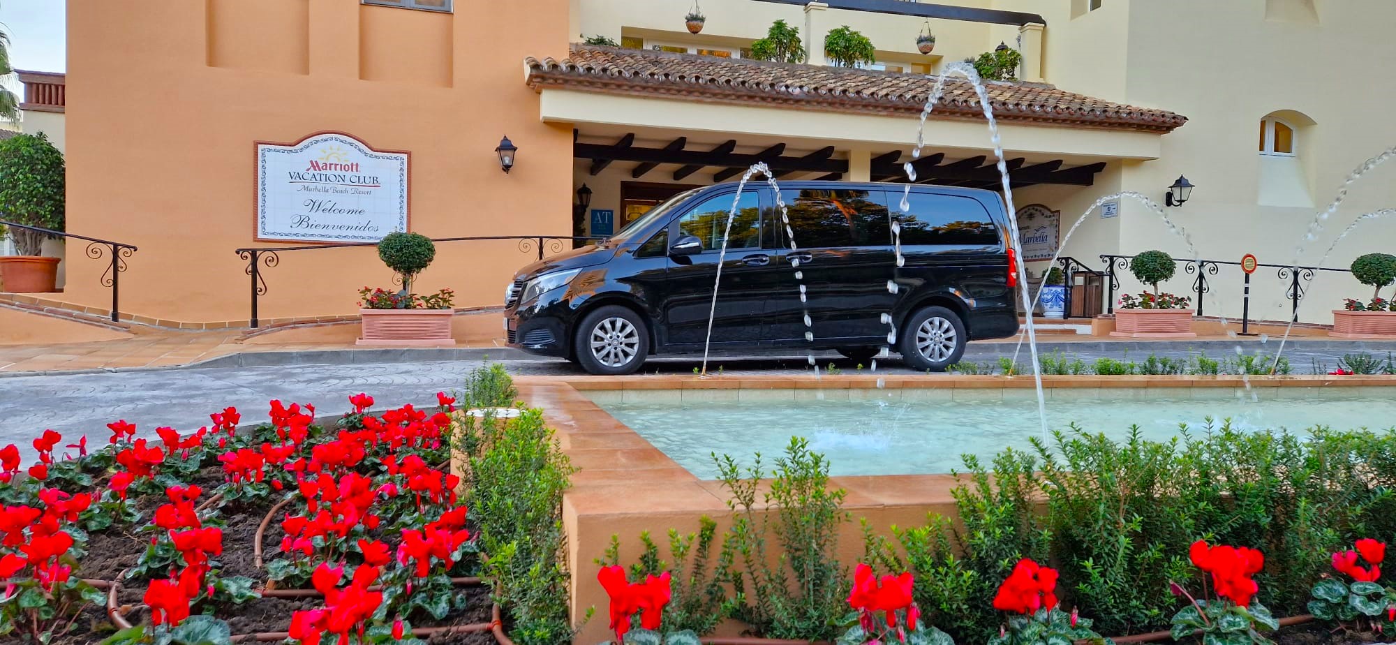 From Marbella: Malaga private tour