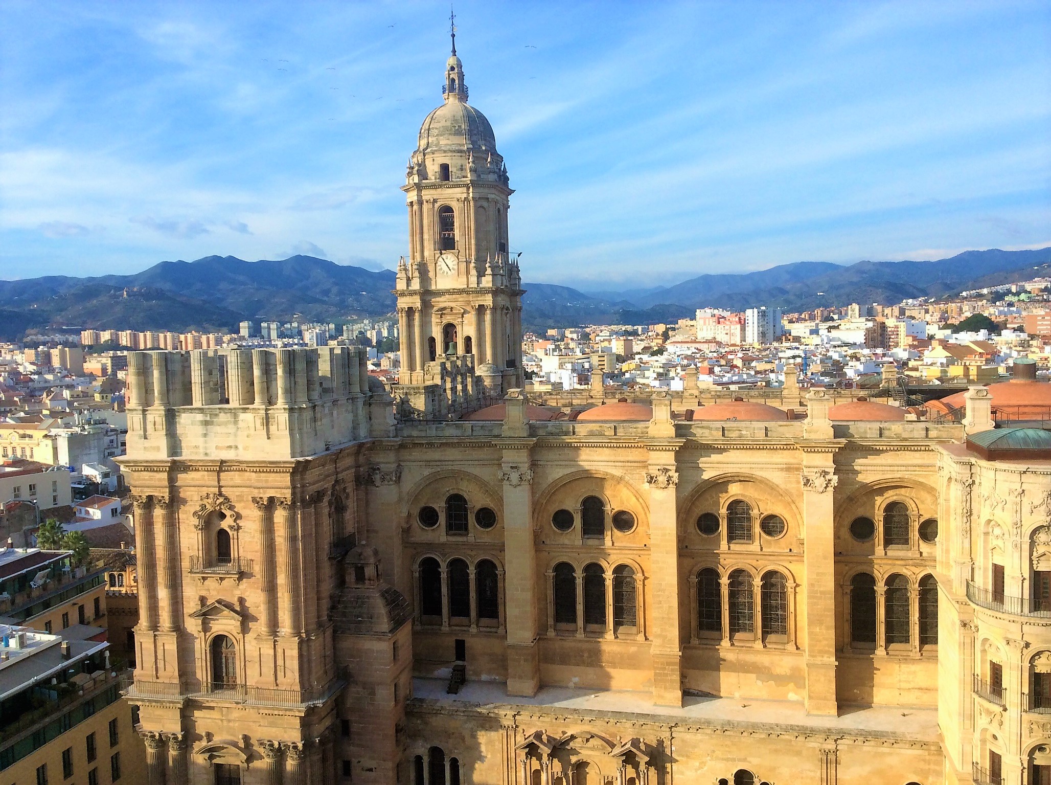 From Marbella: Malaga private tour