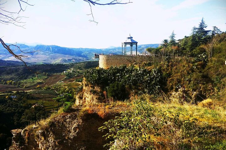 Viewpoint