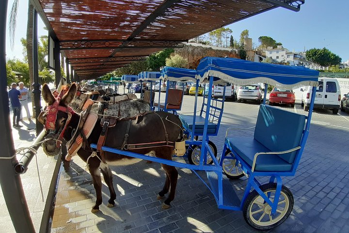 Mijas: group walking tour