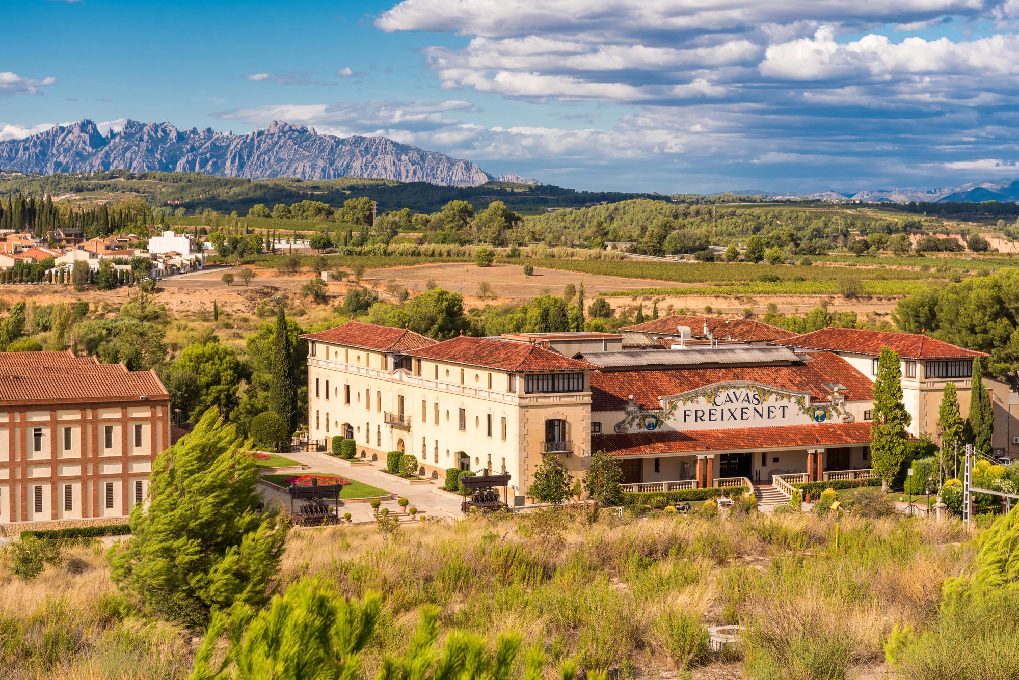 Montserrat and Cava Wine Country - From Barcelona.