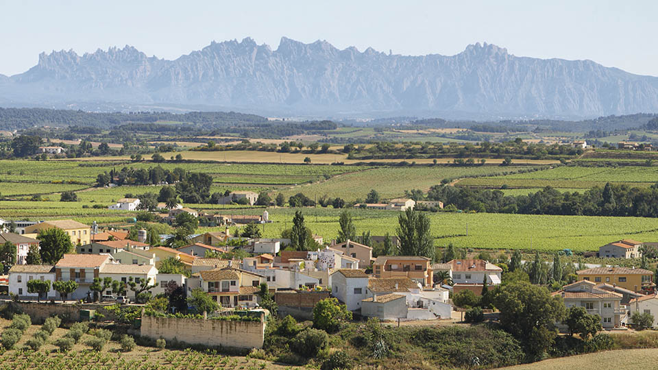 Montserrat and Cava Wine Country - From Barcelona.