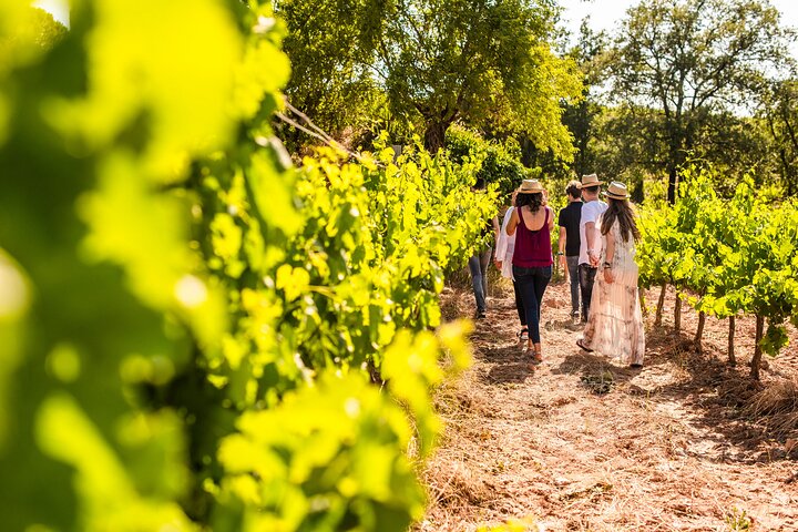 Montserrat Full Day Tour with Farmhouse Lunch and Winery Experience