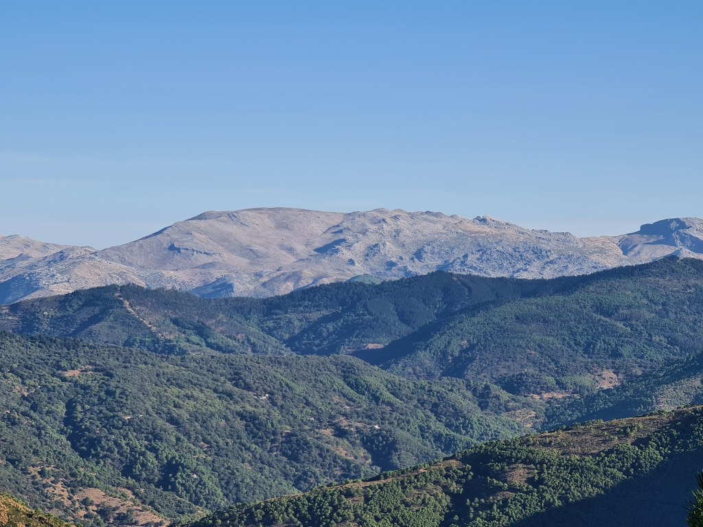 Private Hiking with transfer | Bosque de Pinsapos "Sierra Bermeja"