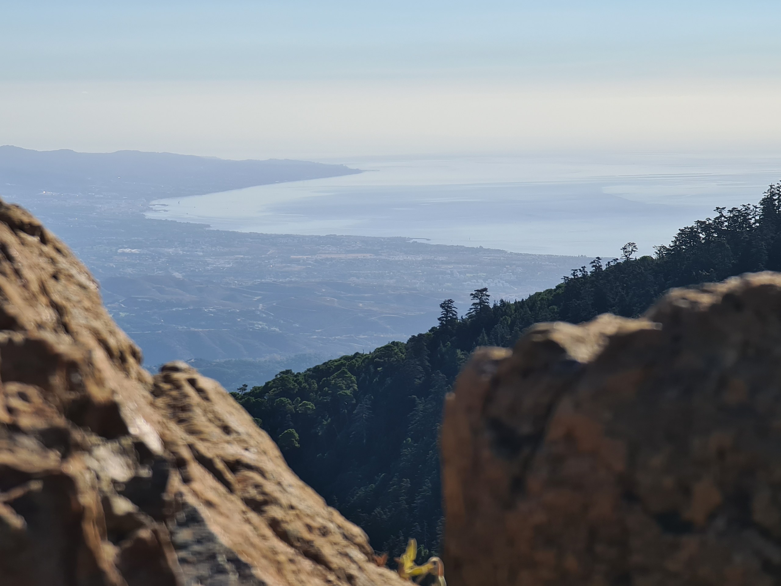 Private Hiking with transfer | Bosque de Pinsapos "Sierra Bermeja"
