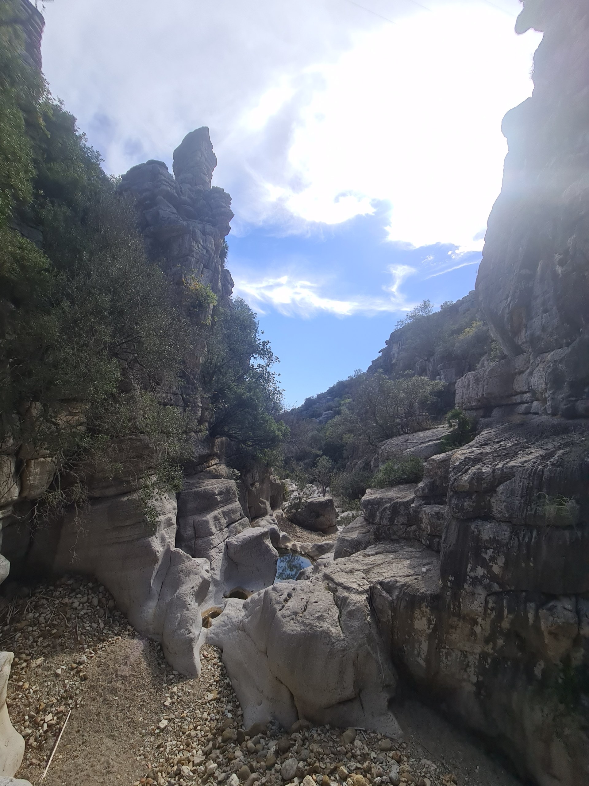 Private Hiking with transfer | Canuto de la Utrera