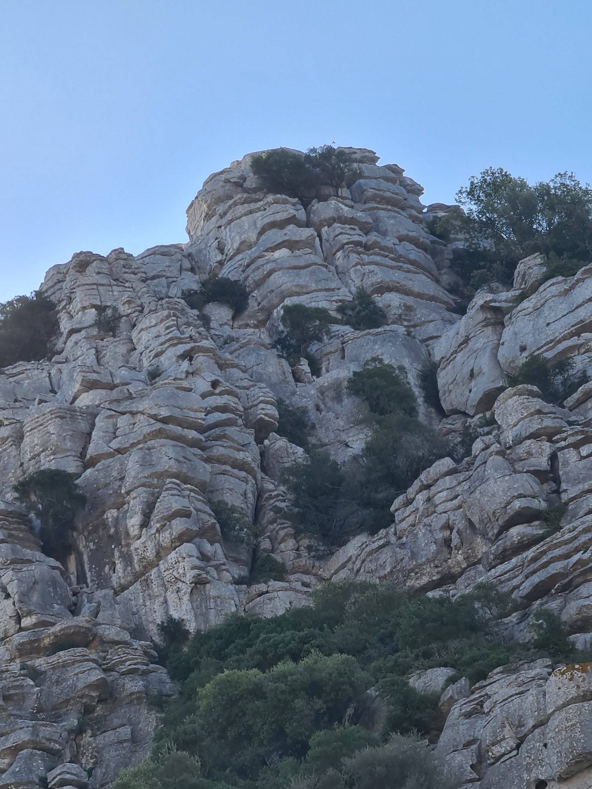 Private Hiking with transfer | Canuto de la Utrera