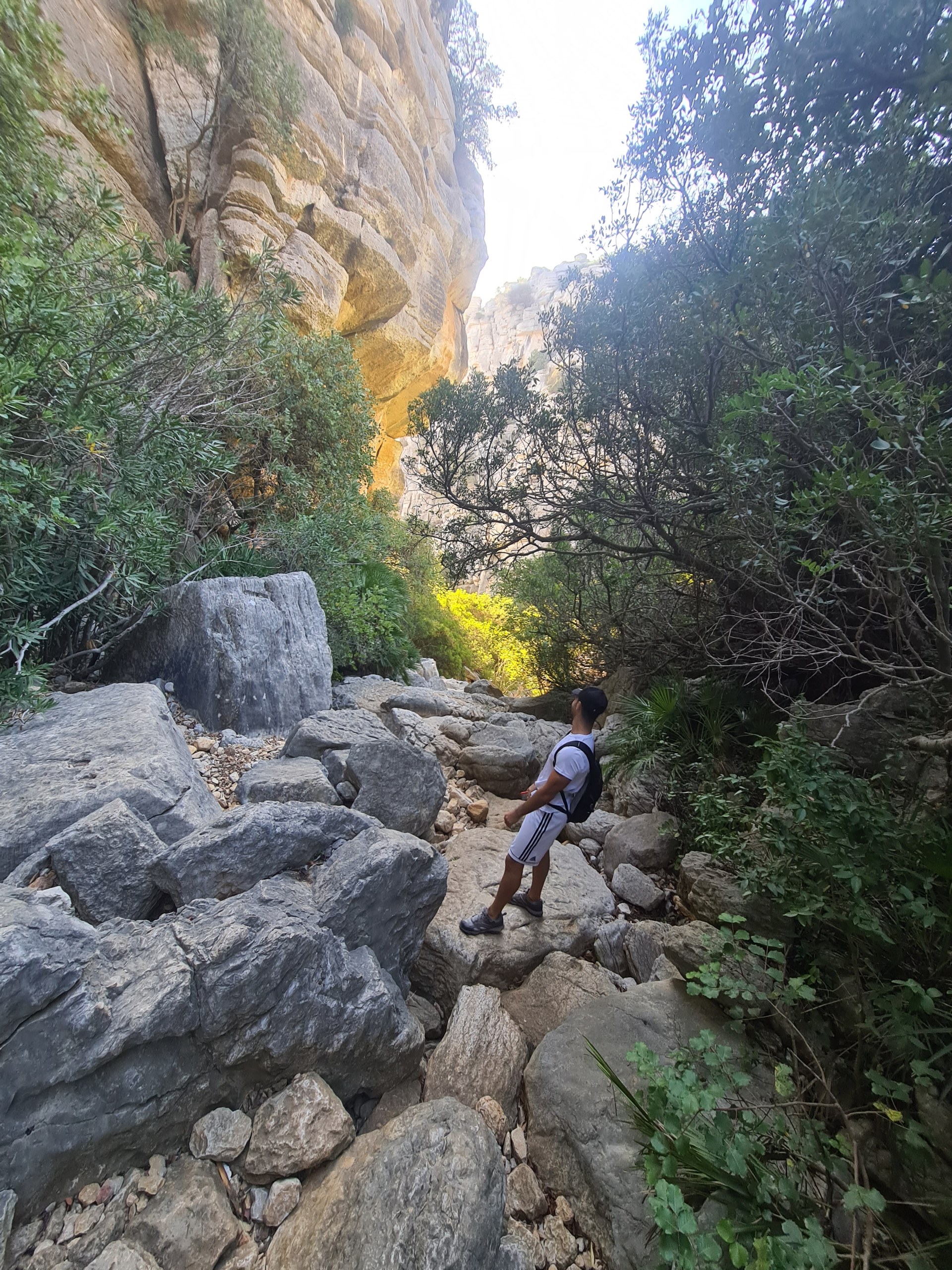 Private Hiking with transfer | Canuto de la Utrera