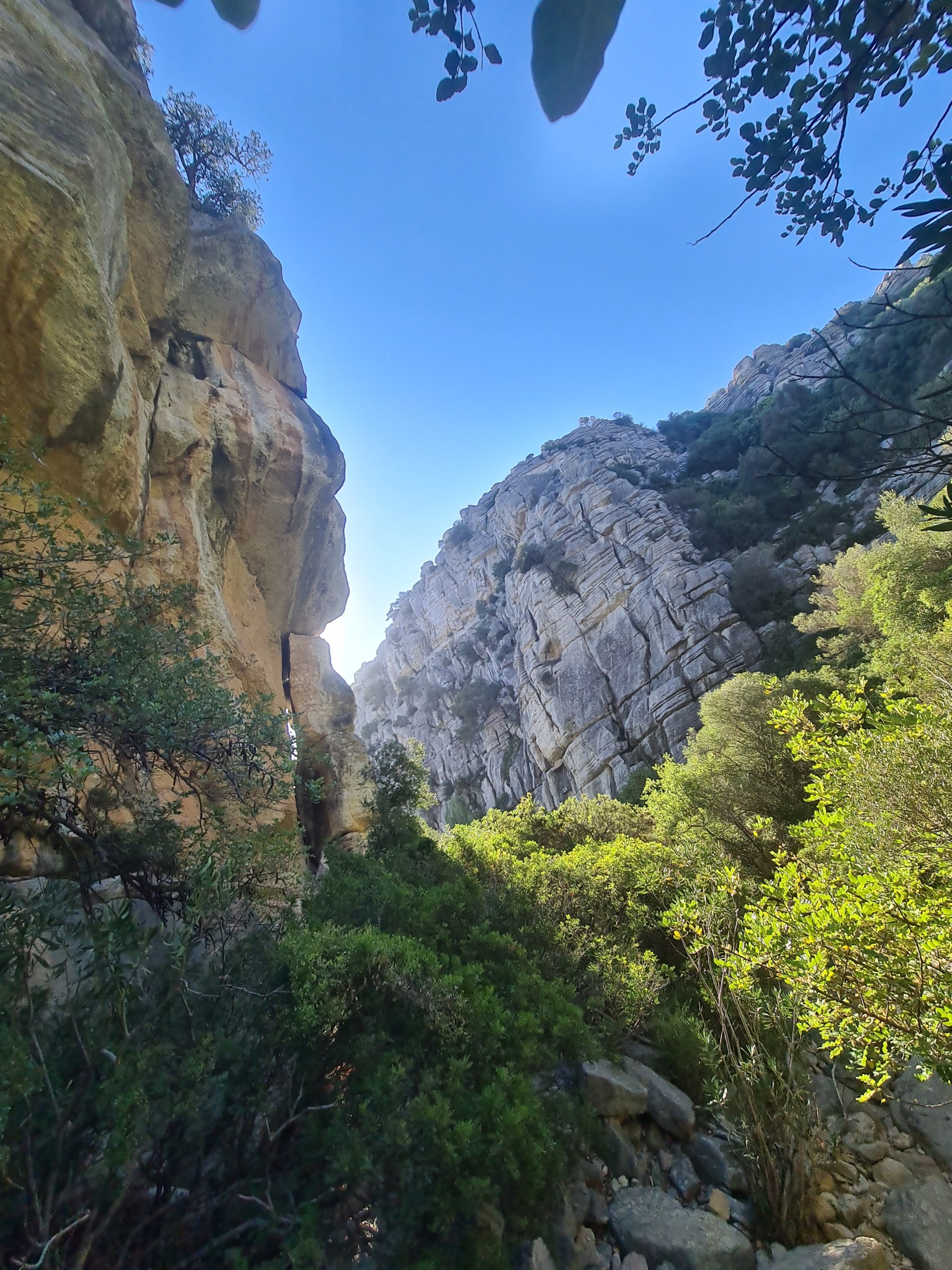 Private Hiking with transfer | Canuto de la Utrera