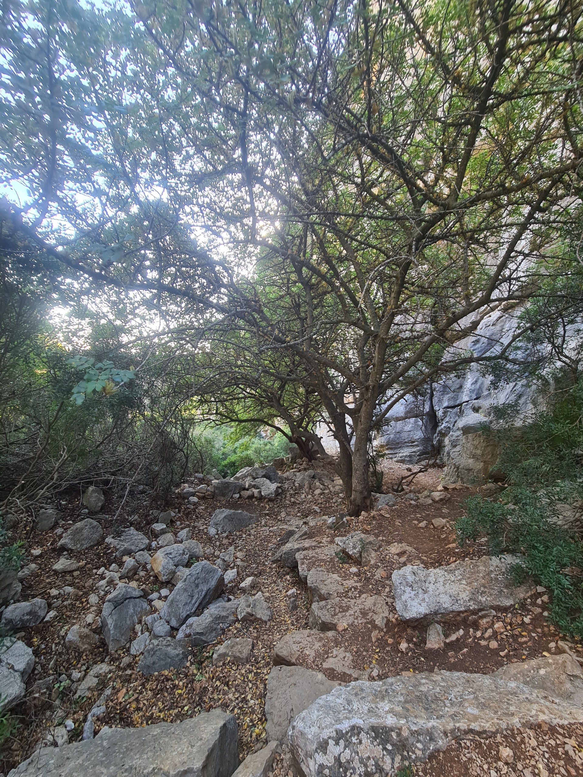 Private Hiking with transfer | Canuto de la Utrera