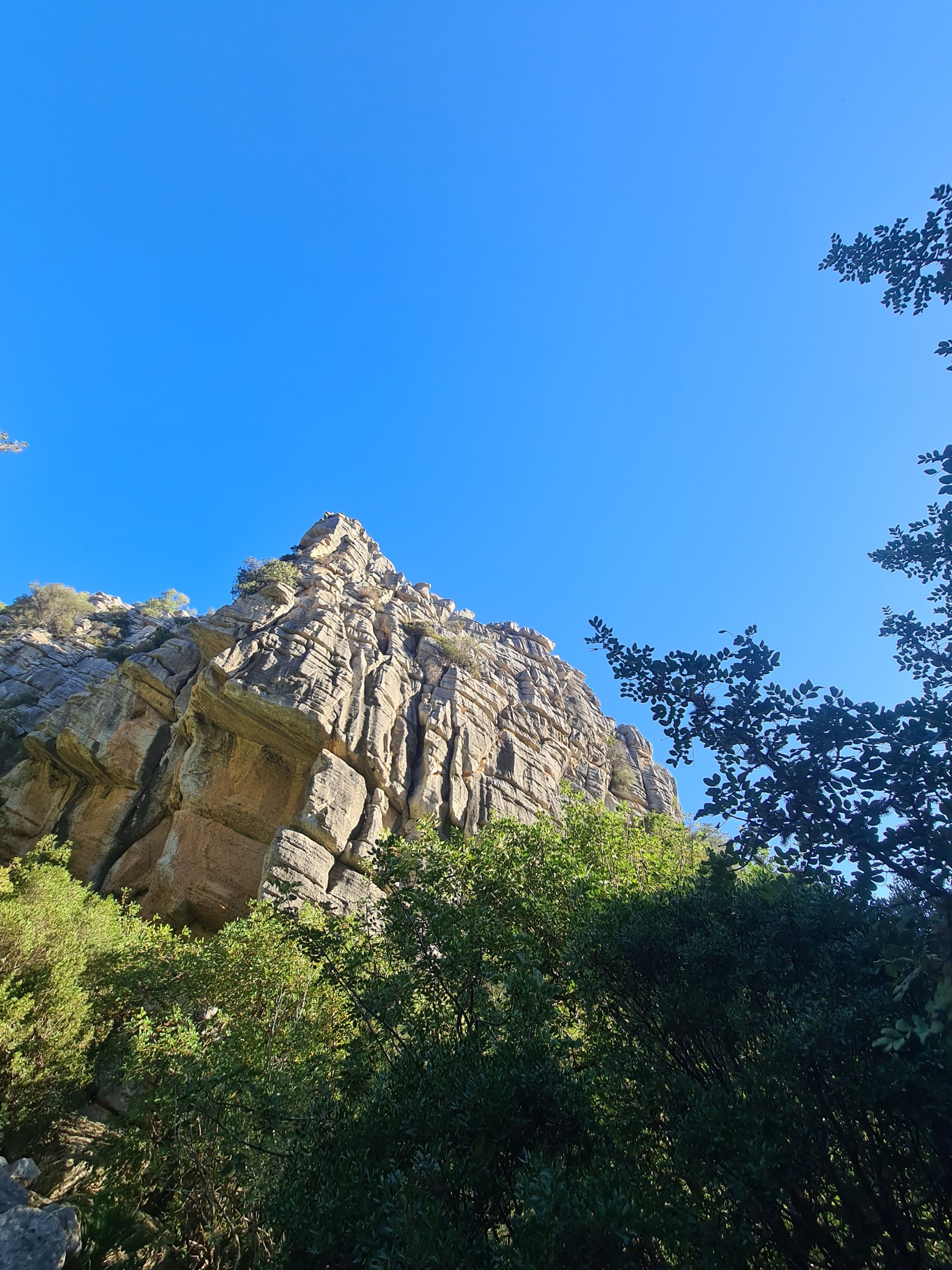 Private Hiking with transfer | Canuto de la Utrera