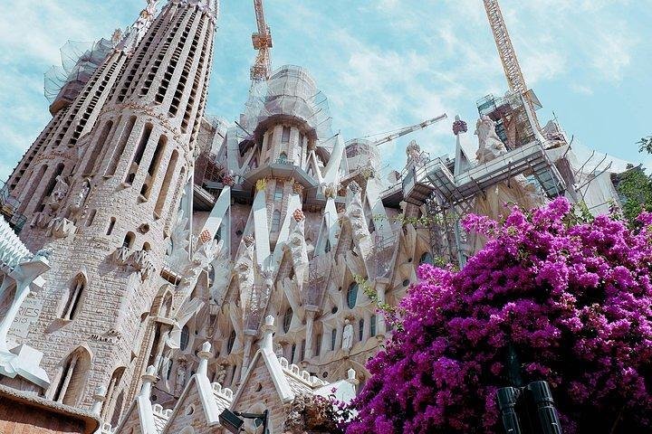 Private Park Güell & Sagrada Familia guided tour with Hotel pickup