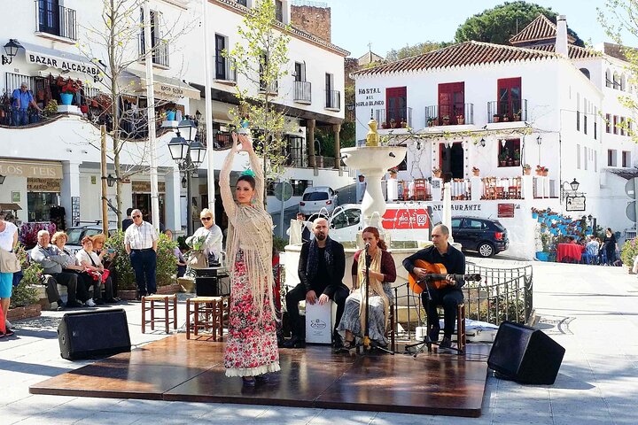 Flamenco show