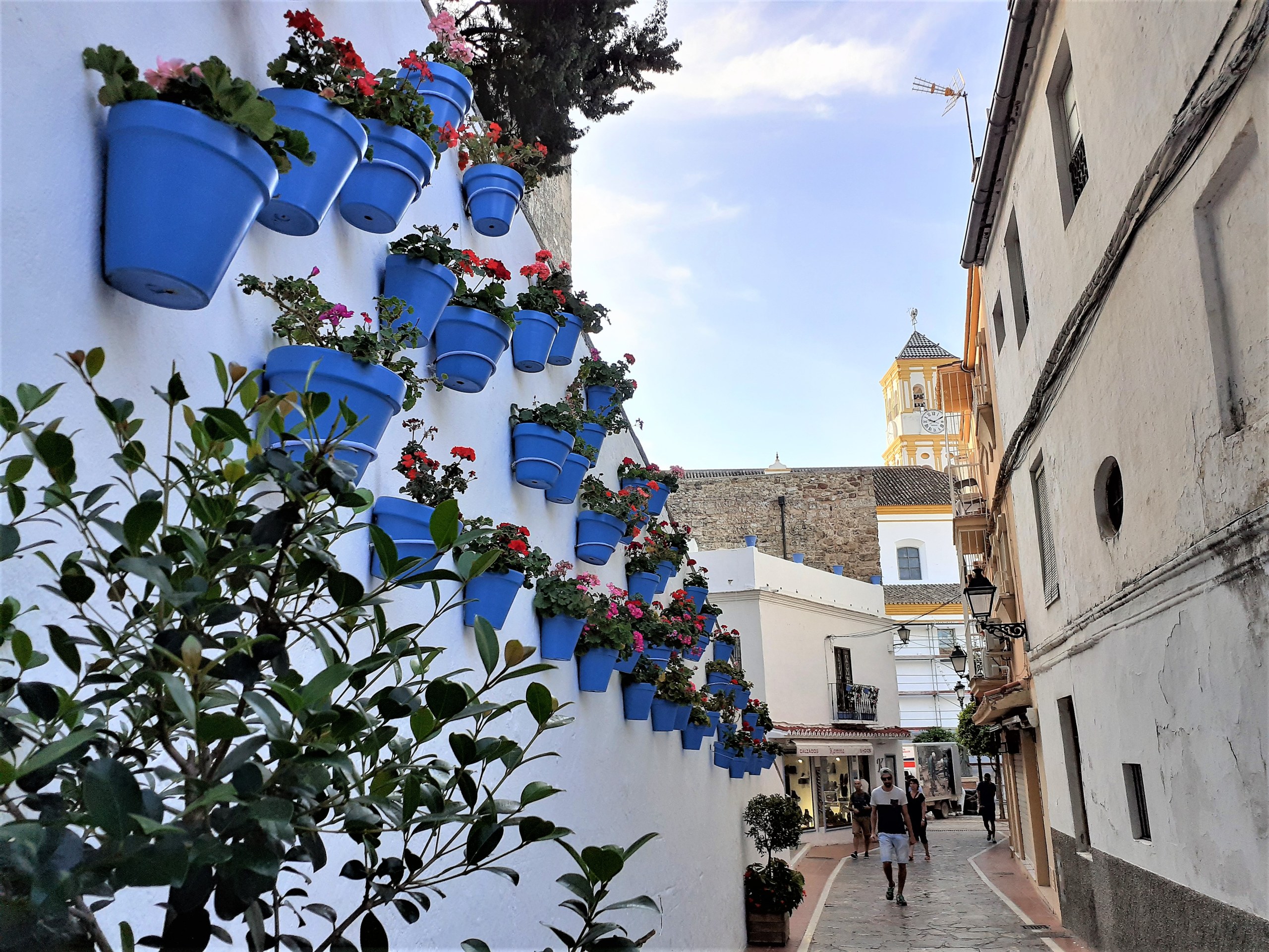 Ronda and Marbella private trip with hotel pick-up