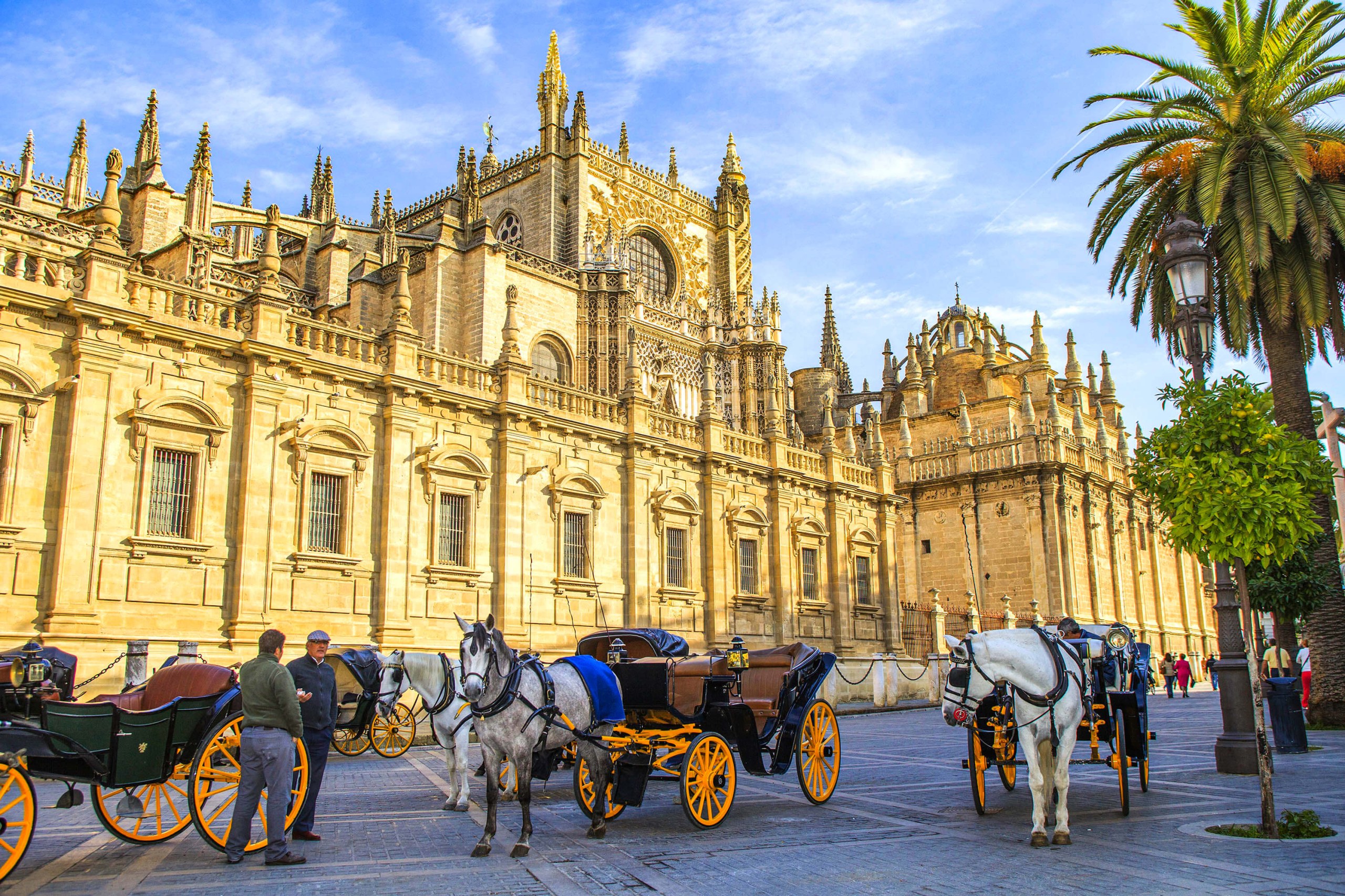 Seville Cathedral Smartphone Audio Guide (NOT AN ENTRY TICKET)