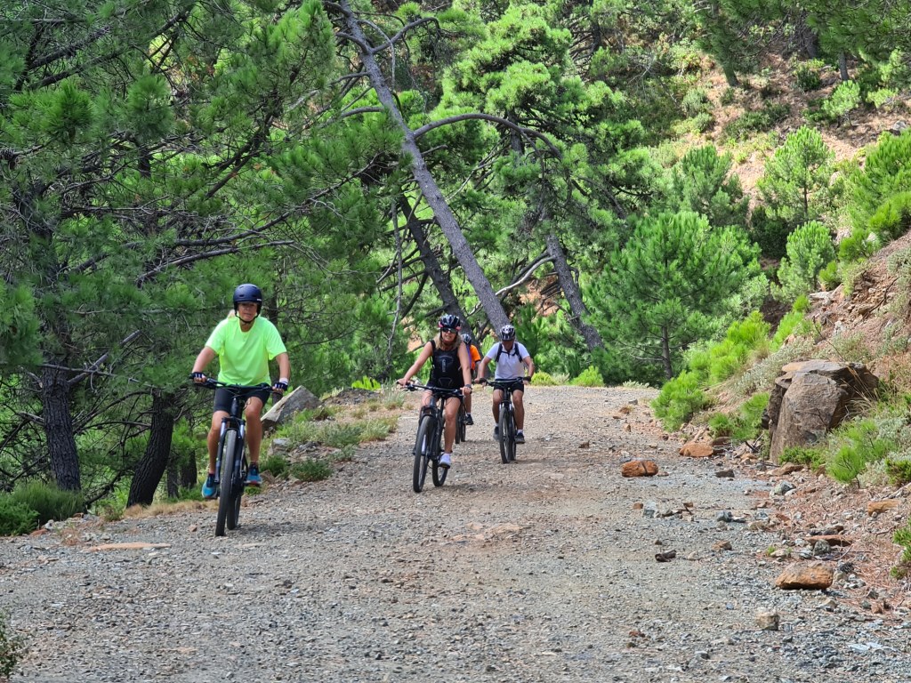 Team Building | E-MTB Experience